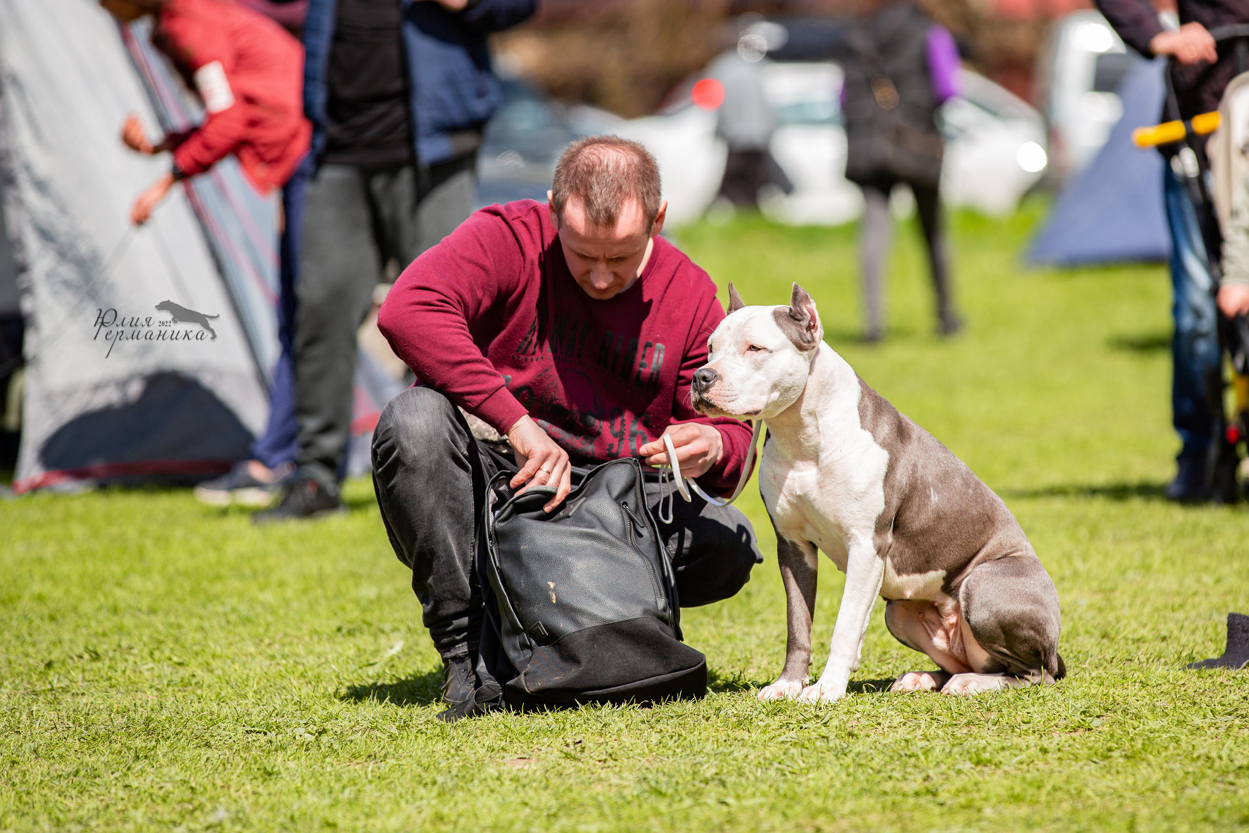 Пушкино 2хЧРКФ 14 мая 2022. Фотограф-анималист Юлия Германика
