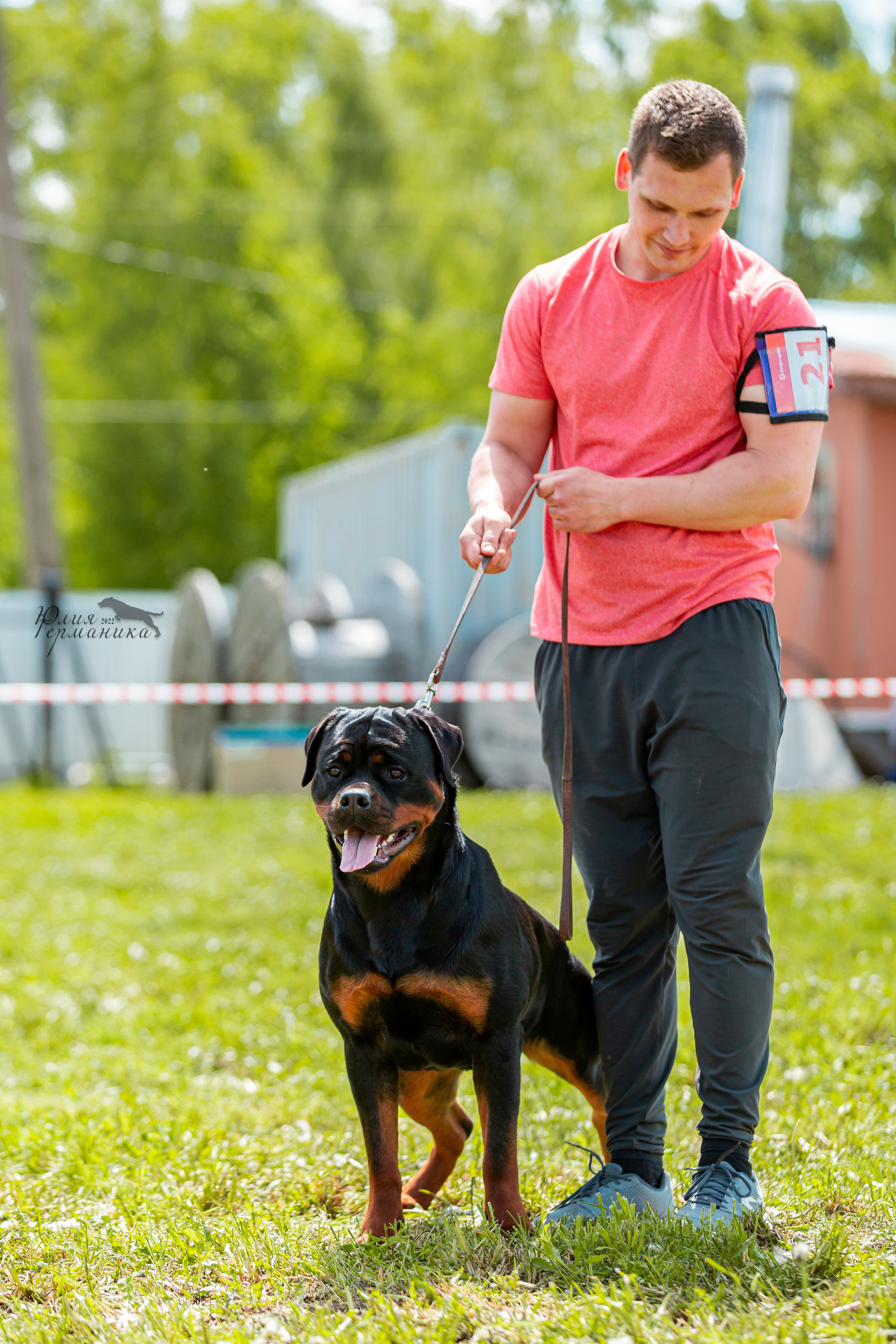 Нижний Новгород моно ротвейлеров 4 июня 2022. Фотограф-анималист Юлия Германика
