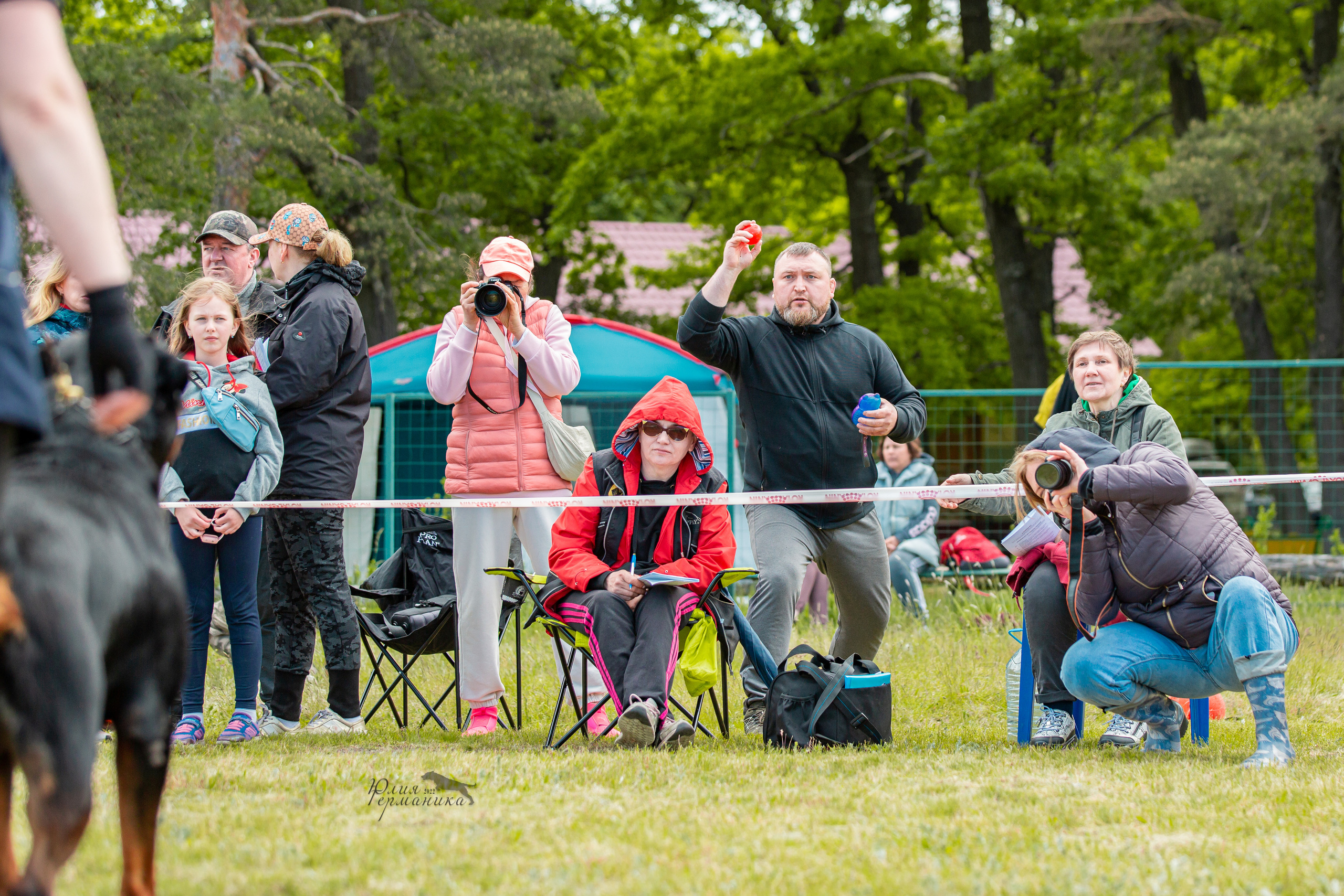 Воронеж моно ротвейлеров 28-29 мая 2022. Фотограф-анималист Юлия Германика