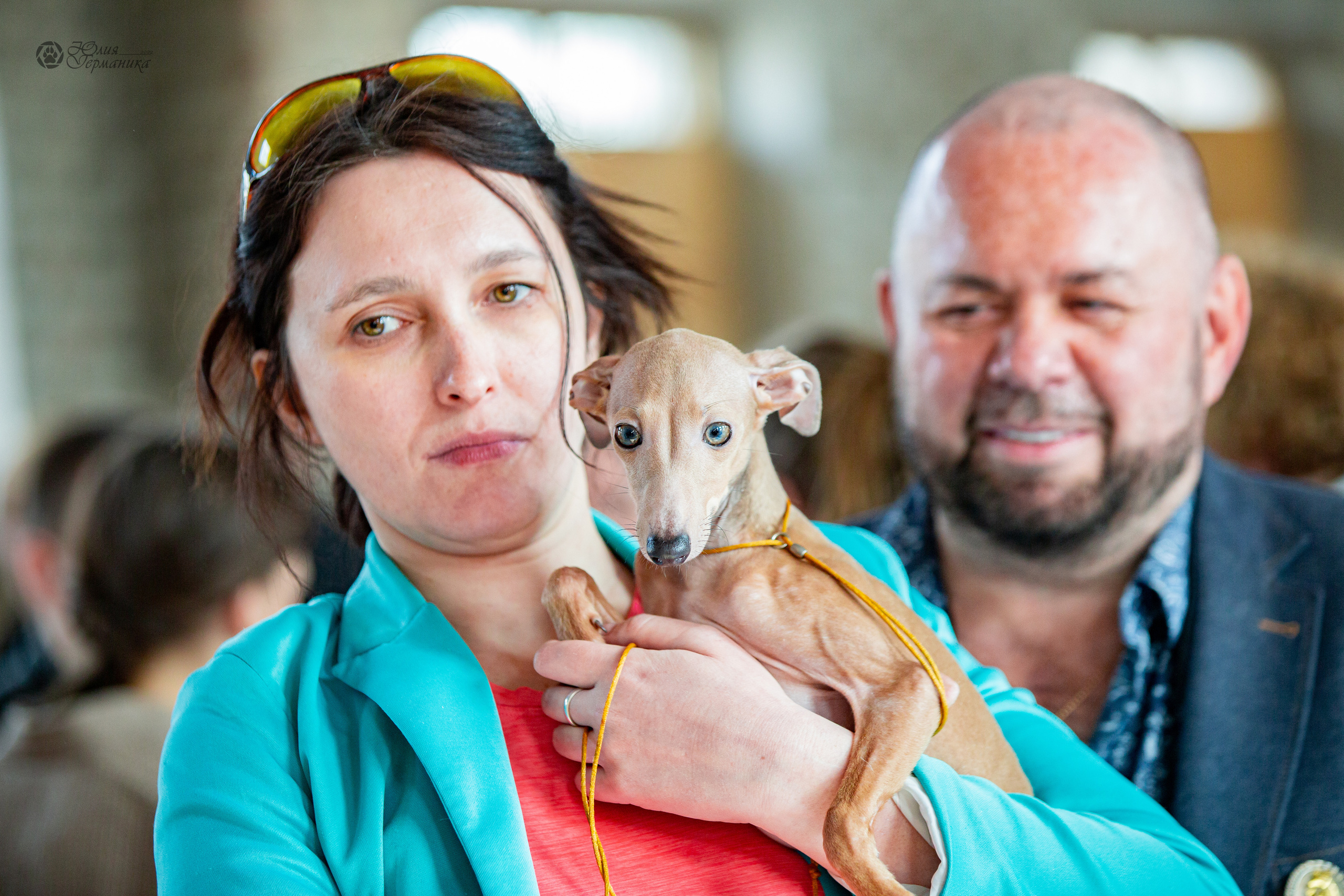 Сергиев Посад 23.04.2022. Фотограф-анималист Юлия Германика