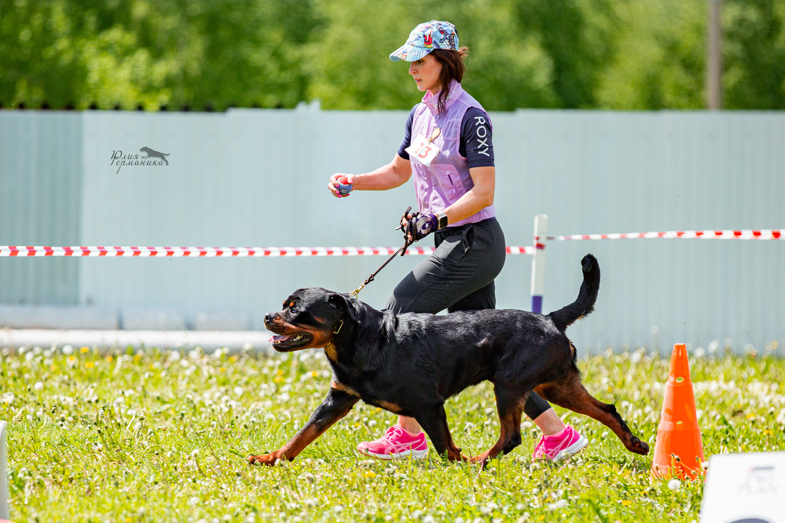 Нижний Новгород моно ротвейлеров 4 июня 2022. Фотограф-анималист Юлия Германика