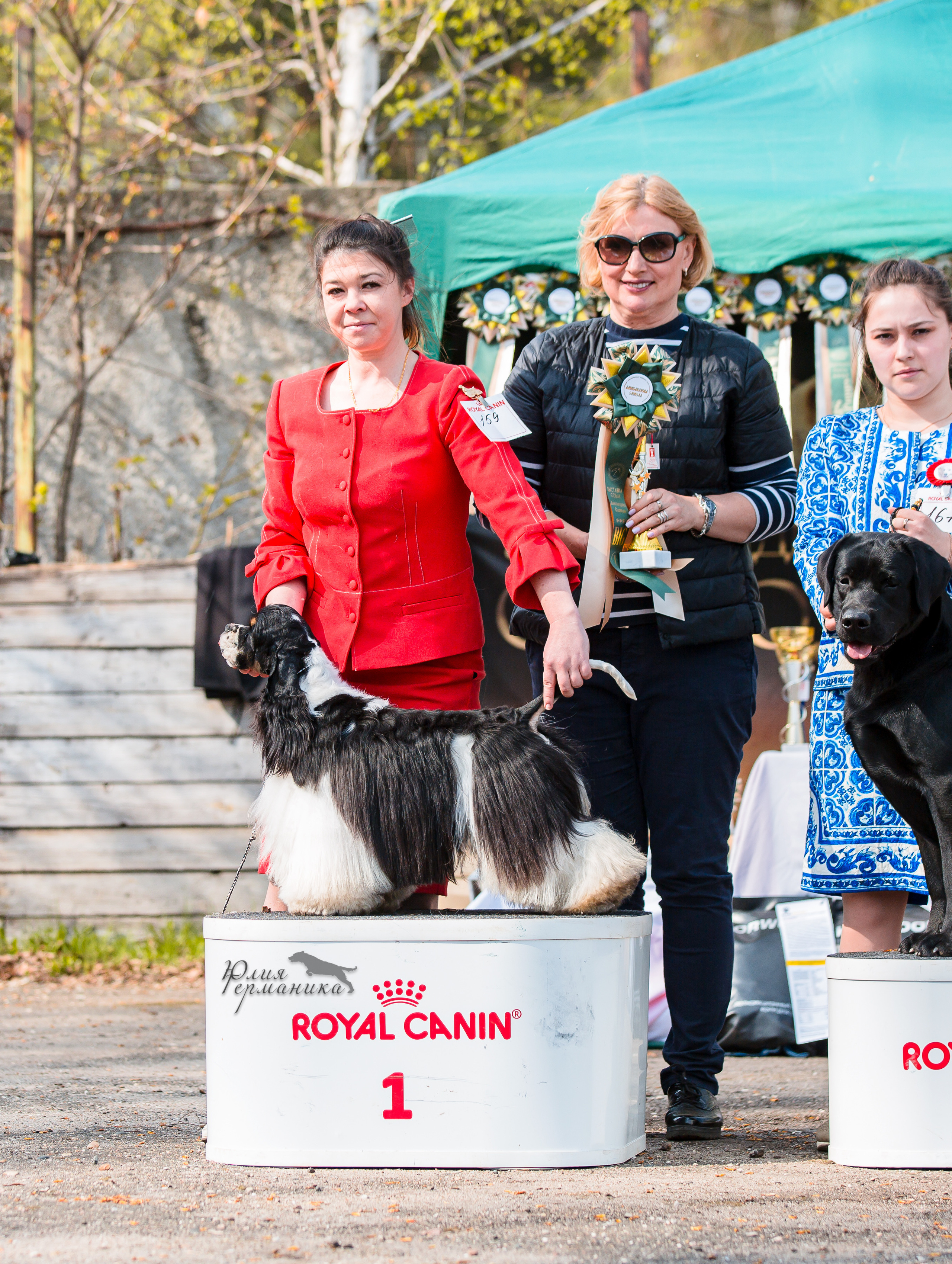 Александров 2хСАС 8 мая 2022. Фотограф-анималист Юлия Германика