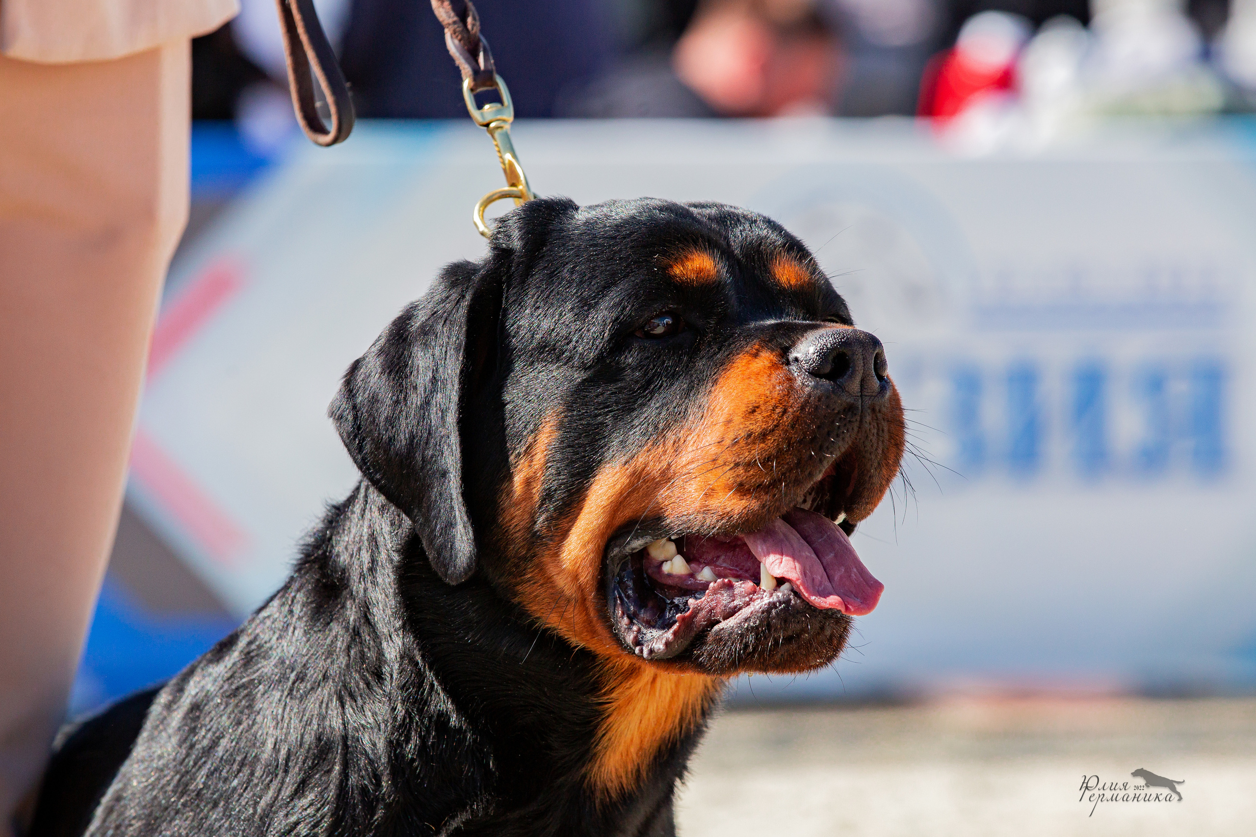 Евразия 21-22 мая 2022. Фотограф-анималист Юлия Германика