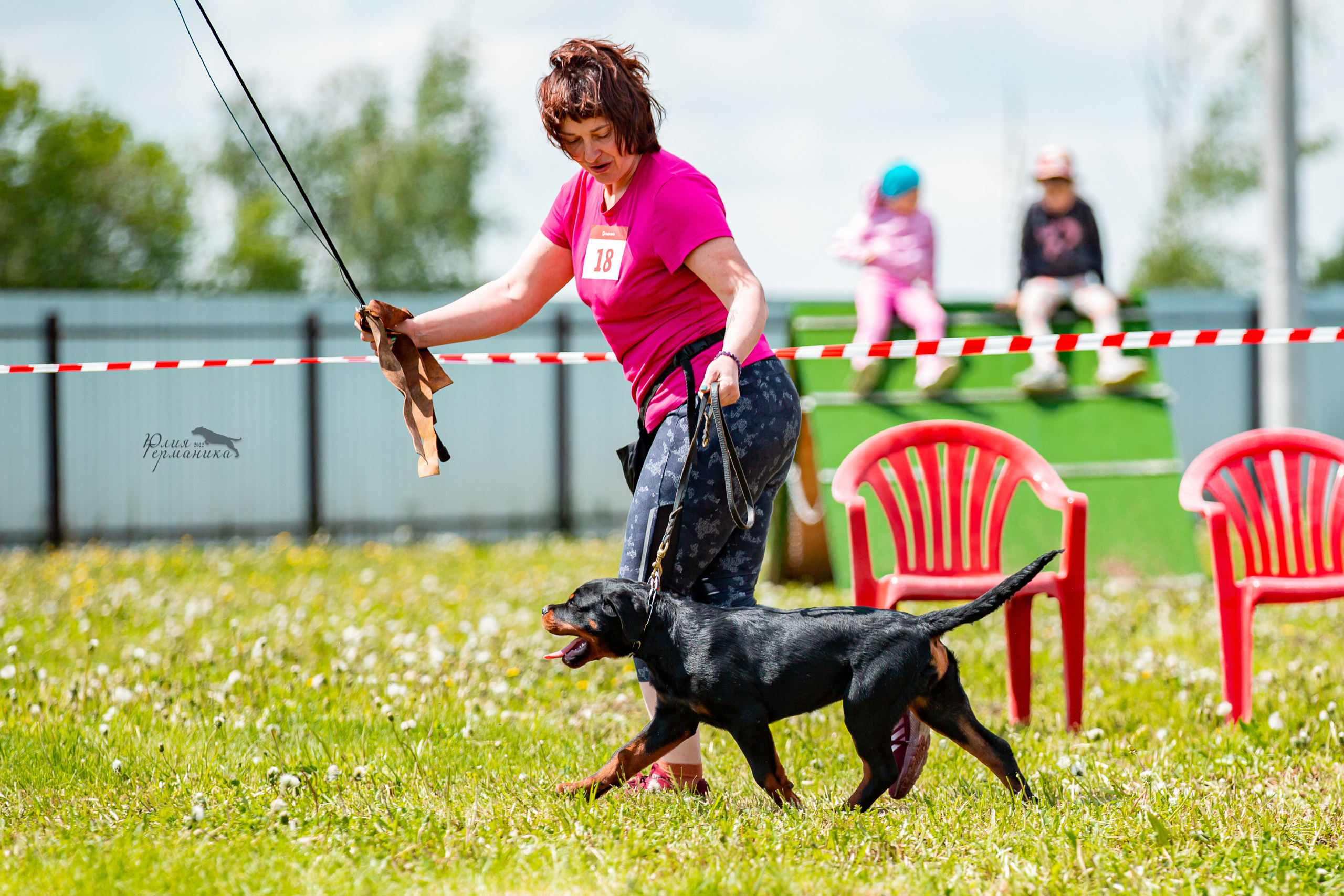 Нижний Новгород моно ротвейлеров 4 июня 2022. Фотограф-анималист Юлия Германика
