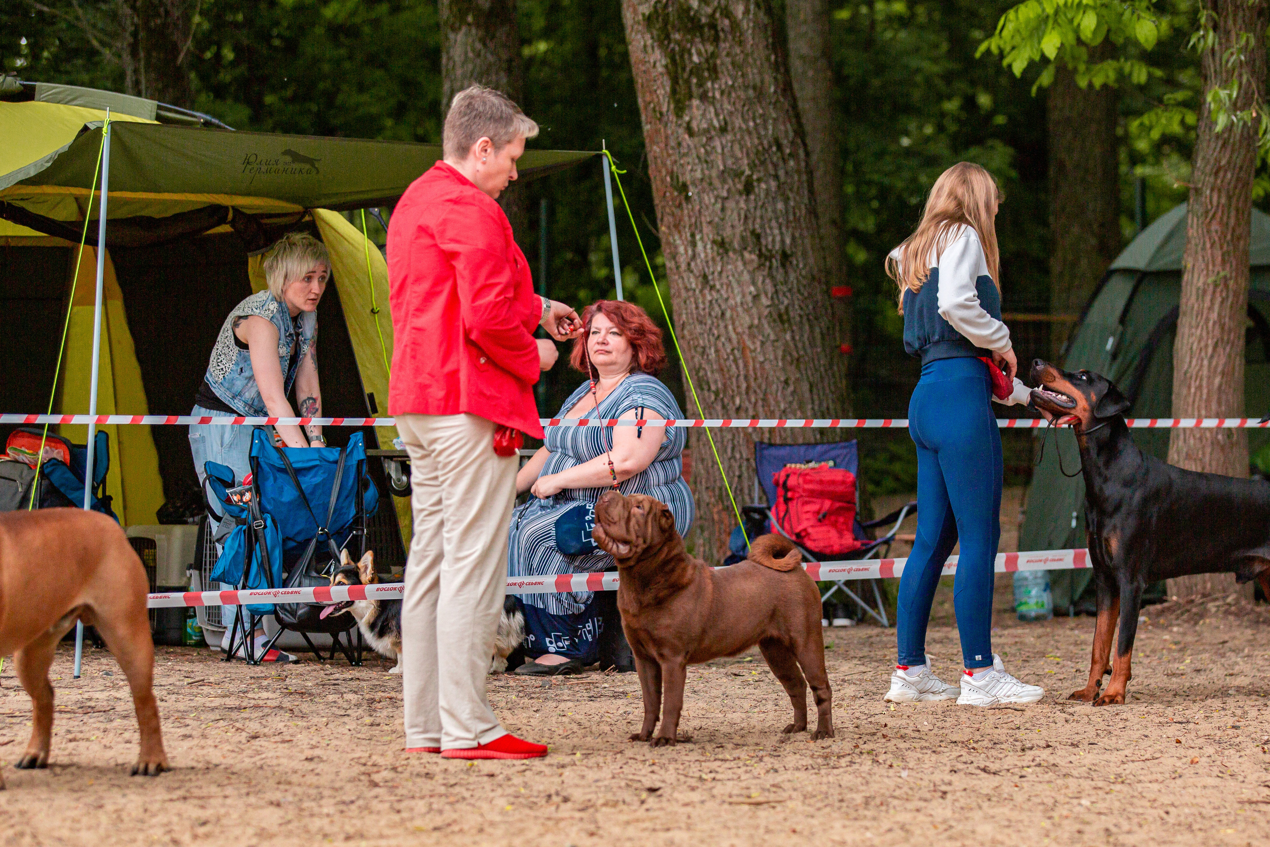Смоленск 12.06,   Ховрино 13.06,    Питер 18.06 2022. Фотограф-анималист Юлия Германика