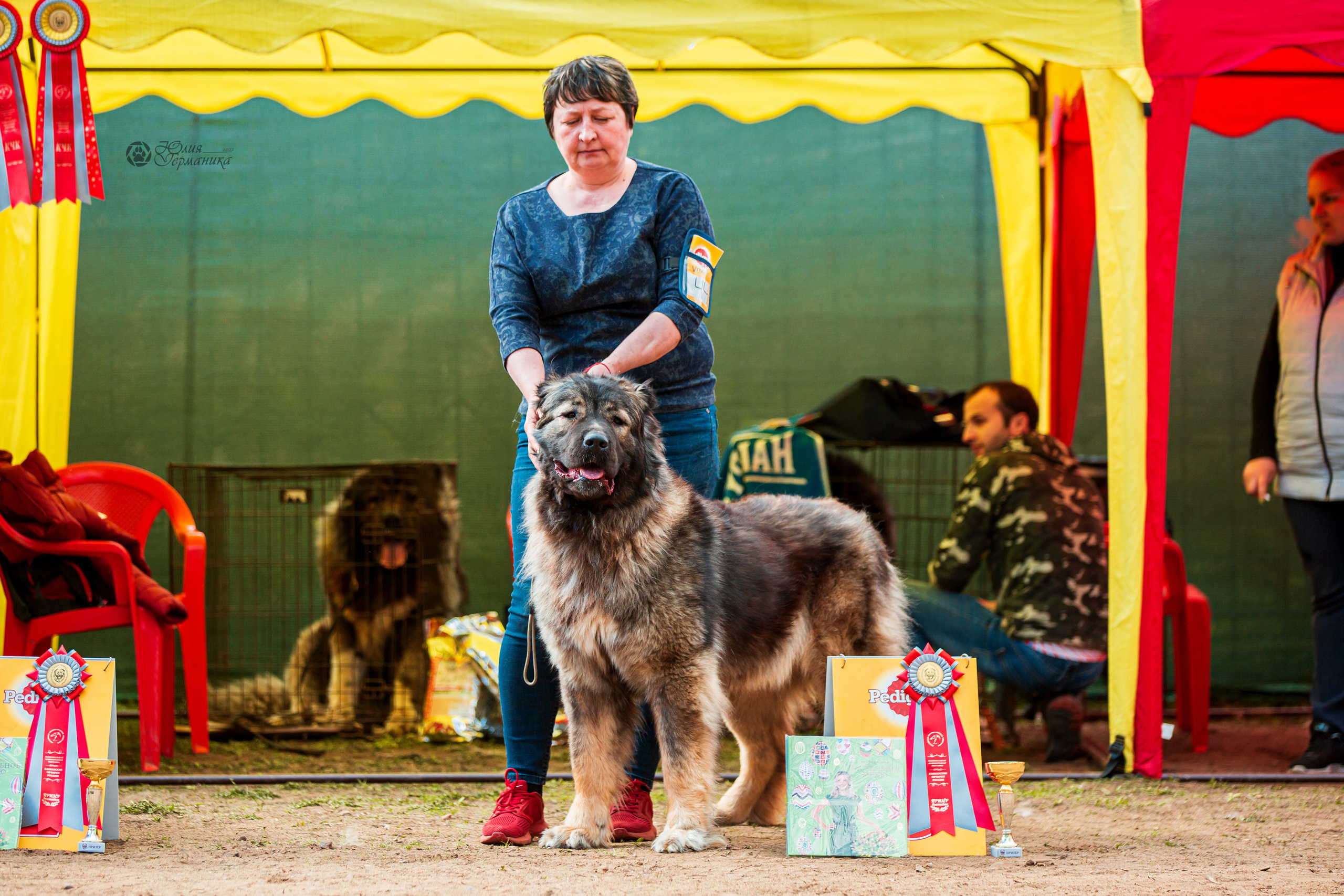 Сокольники 1 мая 2022. Фотограф-анималист Юлия Германика