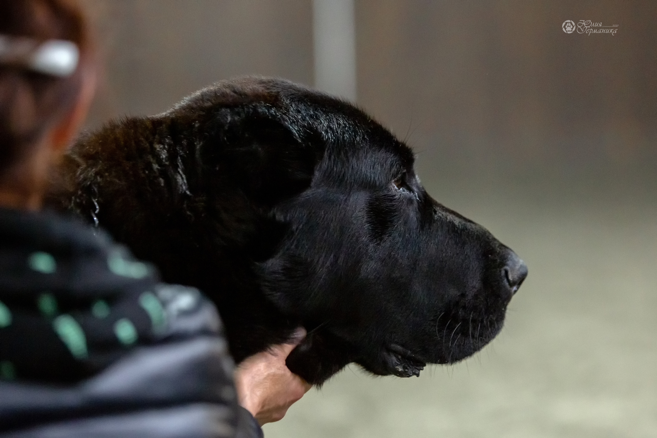 Националка САО+КЧК 24 апреля 2022. Фотограф-анималист Юлия Германика