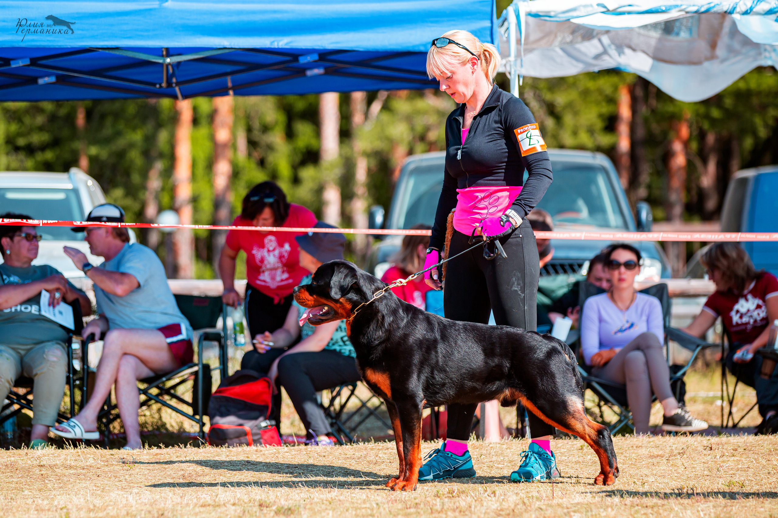Тверь моно ротвейлеров 2-3.07.2022. Фотограф-анималист Юлия Германика