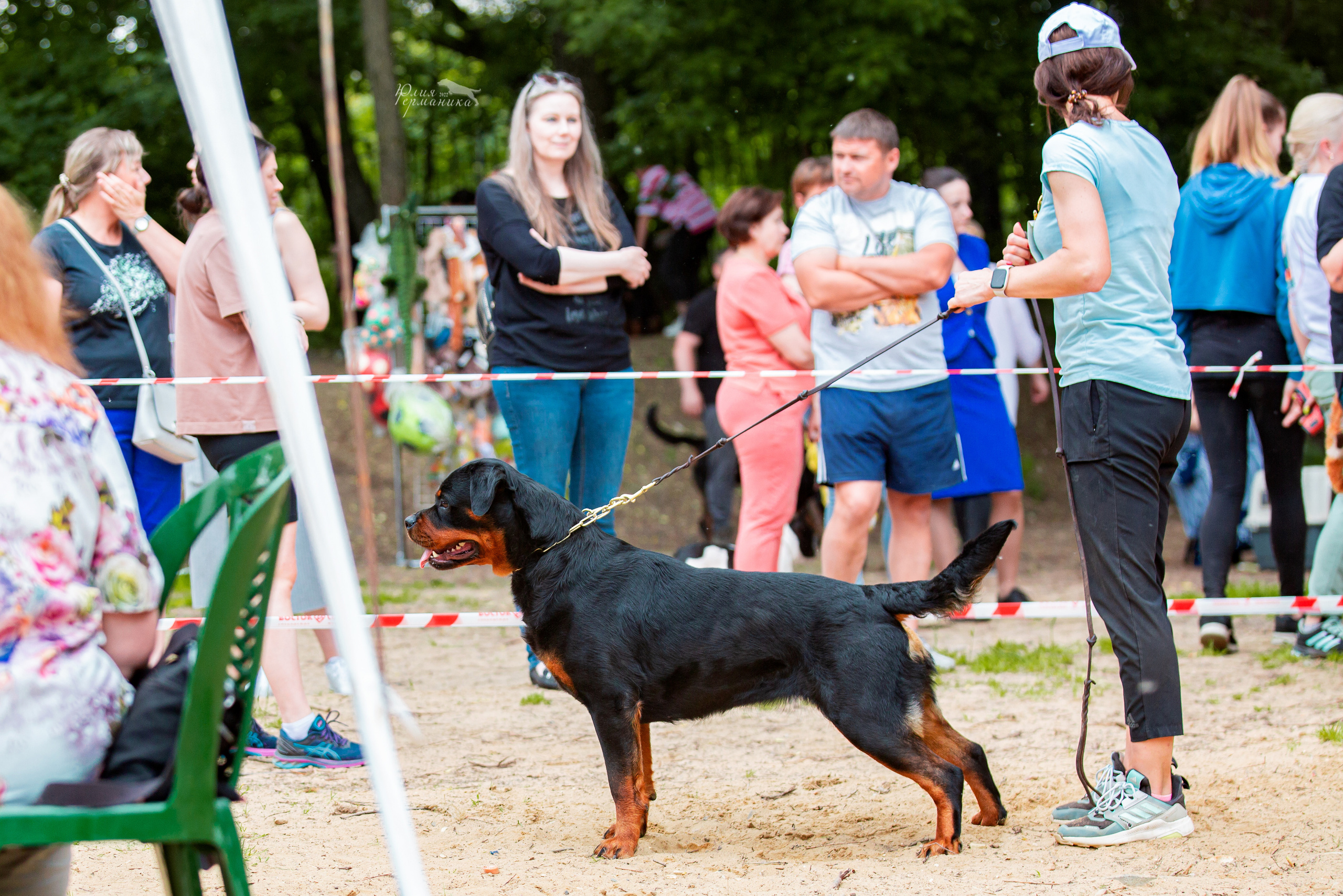 Смоленск 12.06,   Ховрино 13.06,    Питер 18.06 2022. Фотограф-анималист Юлия Германика