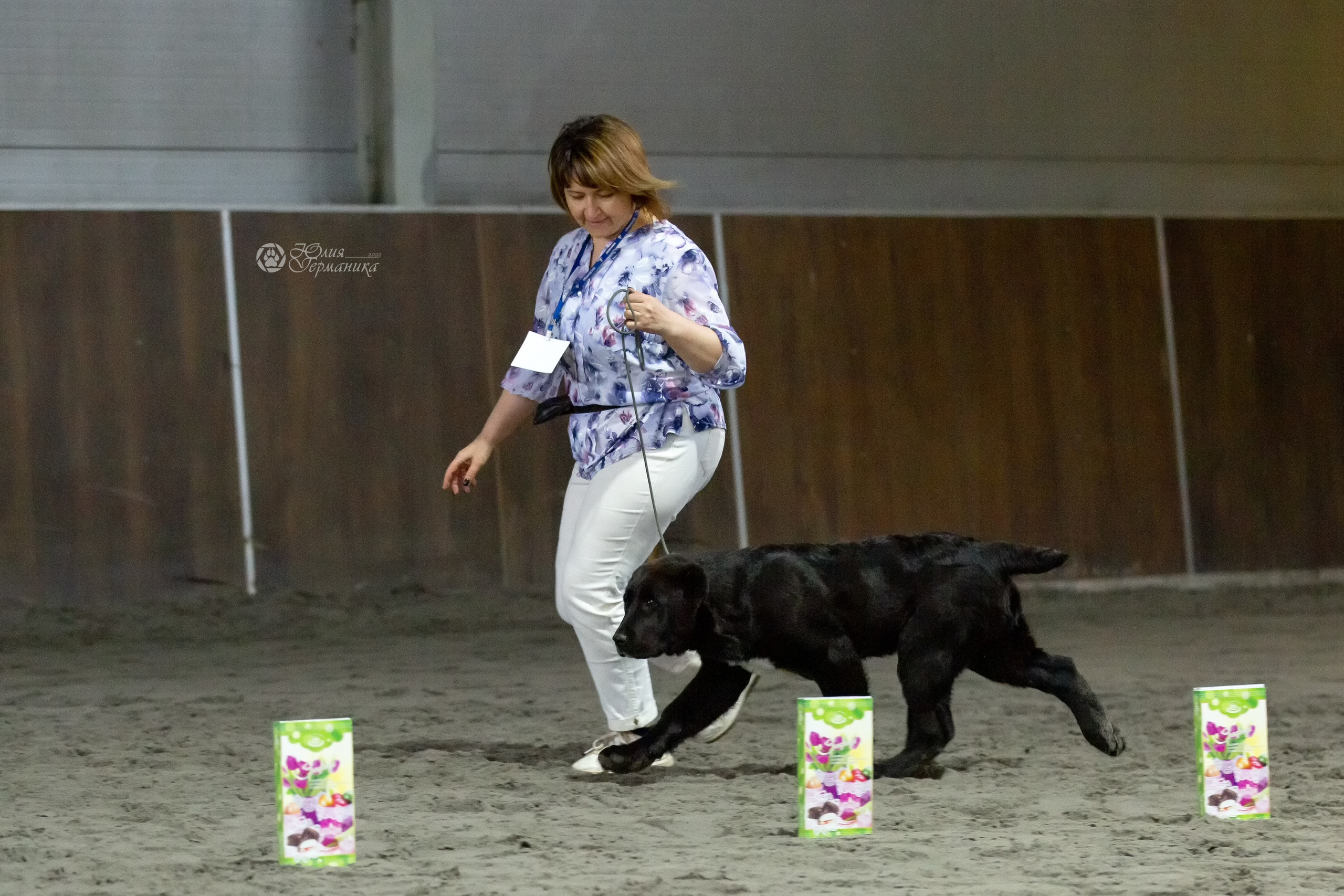 Националка САО+КЧК 24 апреля 2022. Фотограф-анималист Юлия Германика