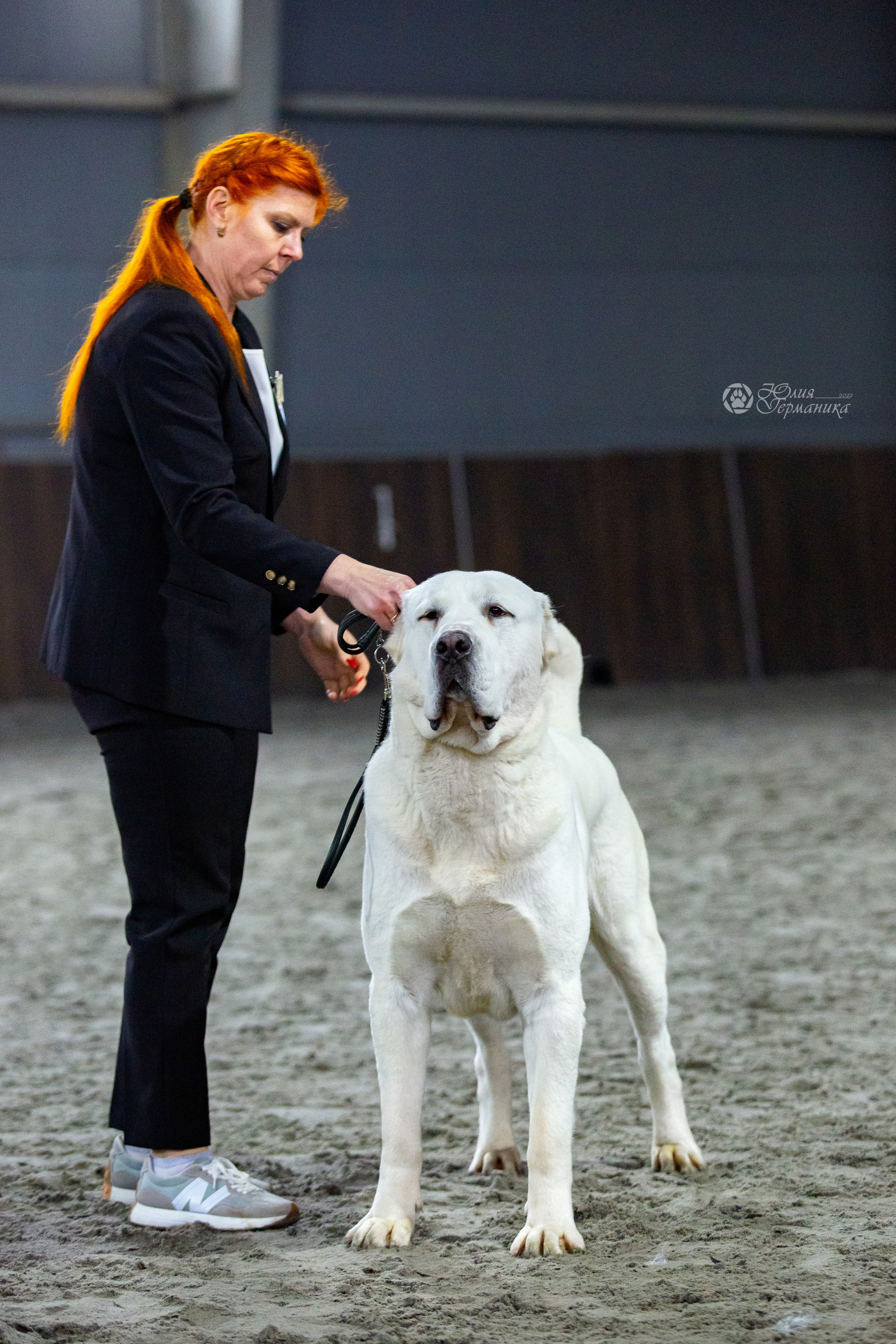 Националка САО+КЧК 24 апреля 2022. Фотограф-анималист Юлия Германика