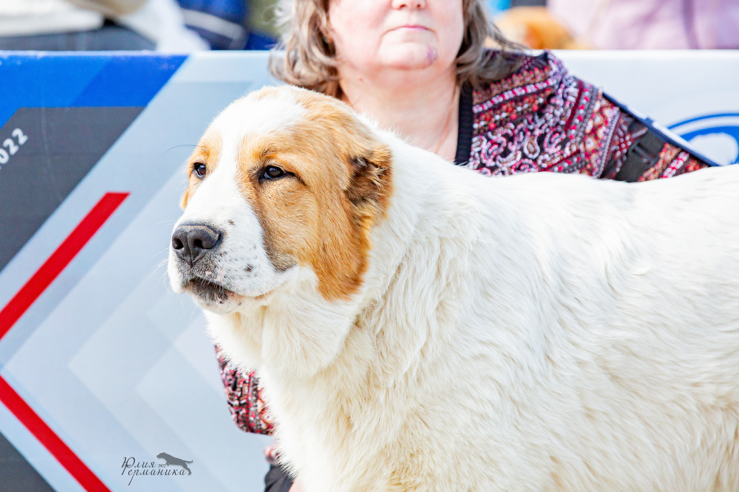 Евразия 21-22 мая 2022. Фотограф-анималист Юлия Германика