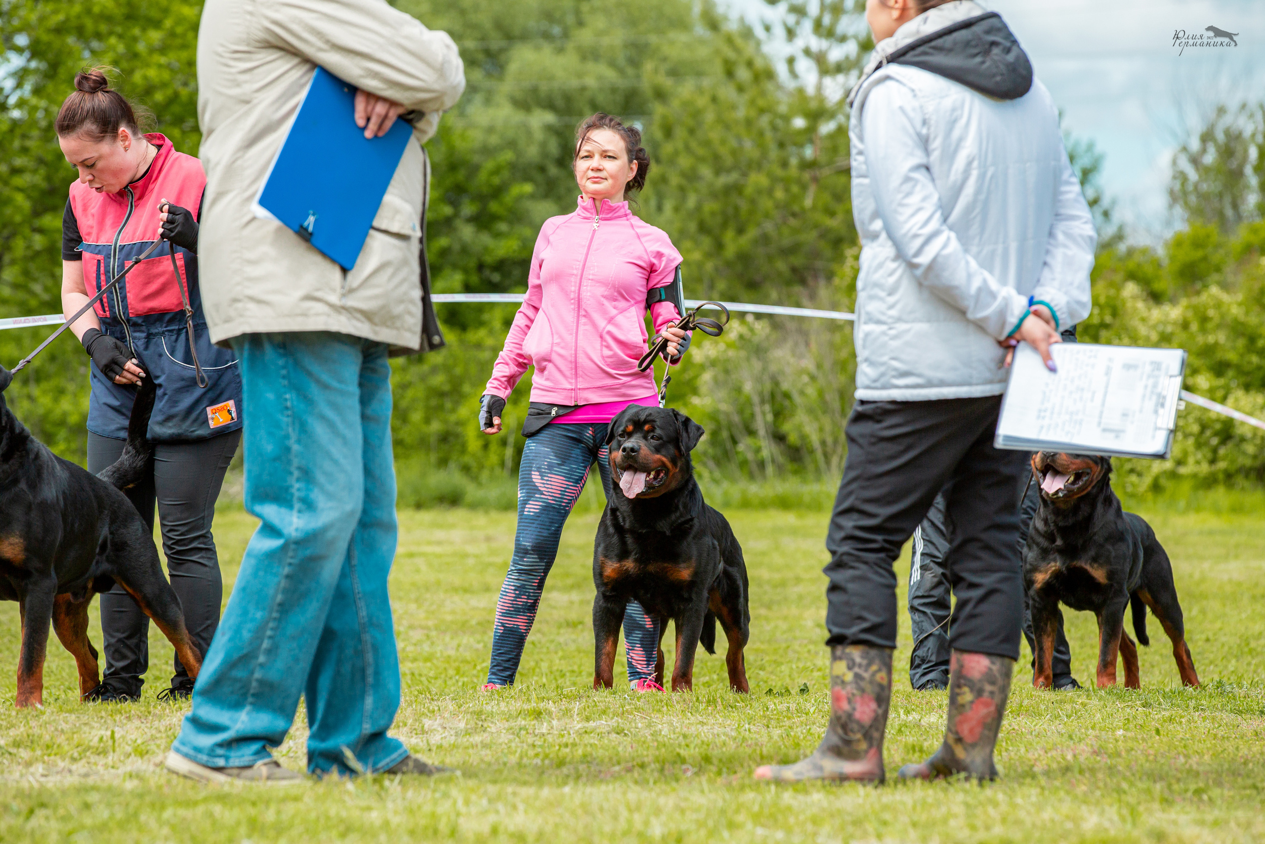 Воронеж моно ротвейлеров 28-29 мая 2022. Фотограф-анималист Юлия Германика