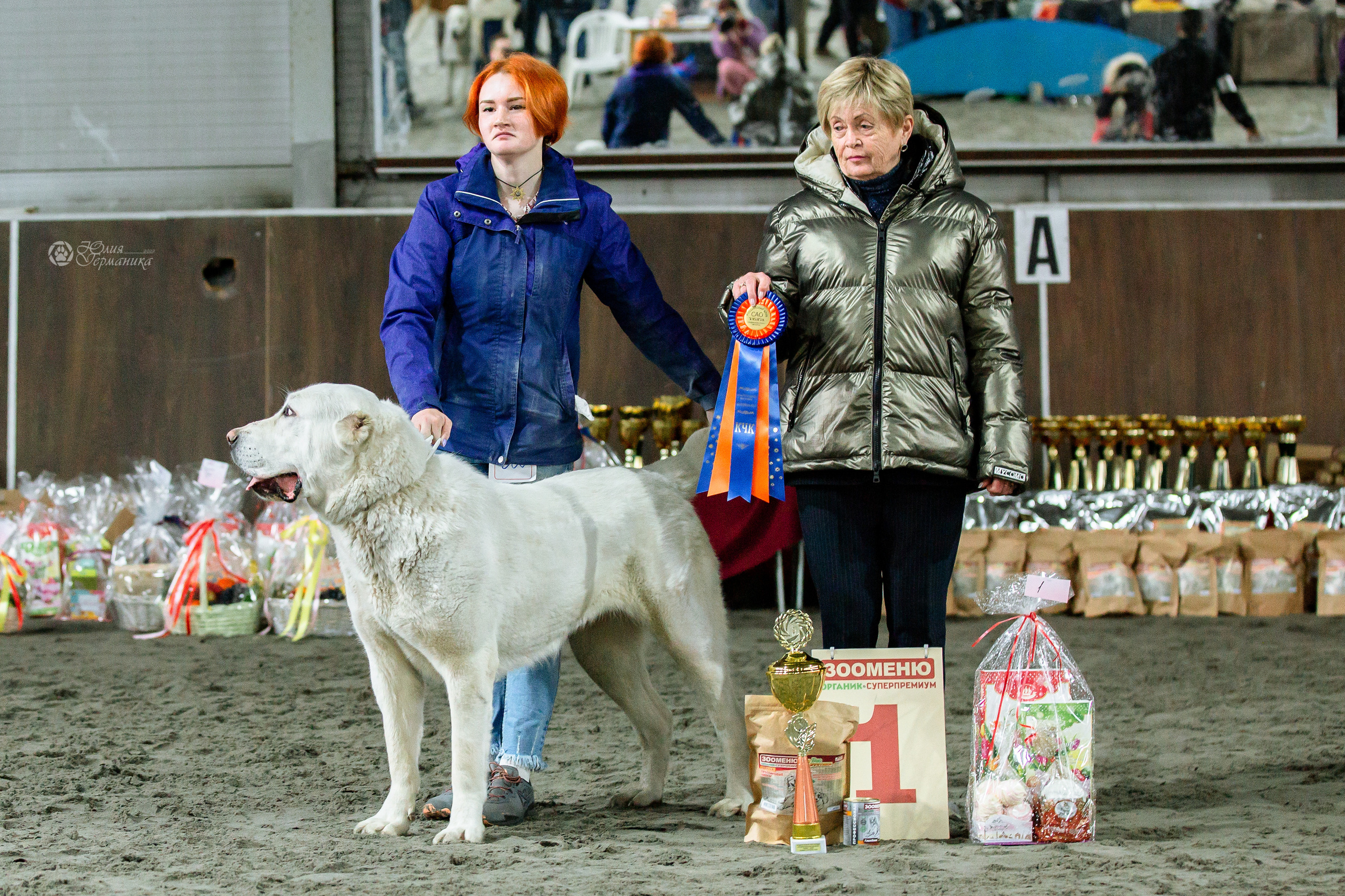 Националка САО+КЧК 24 апреля 2022. Фотограф-анималист Юлия Германика