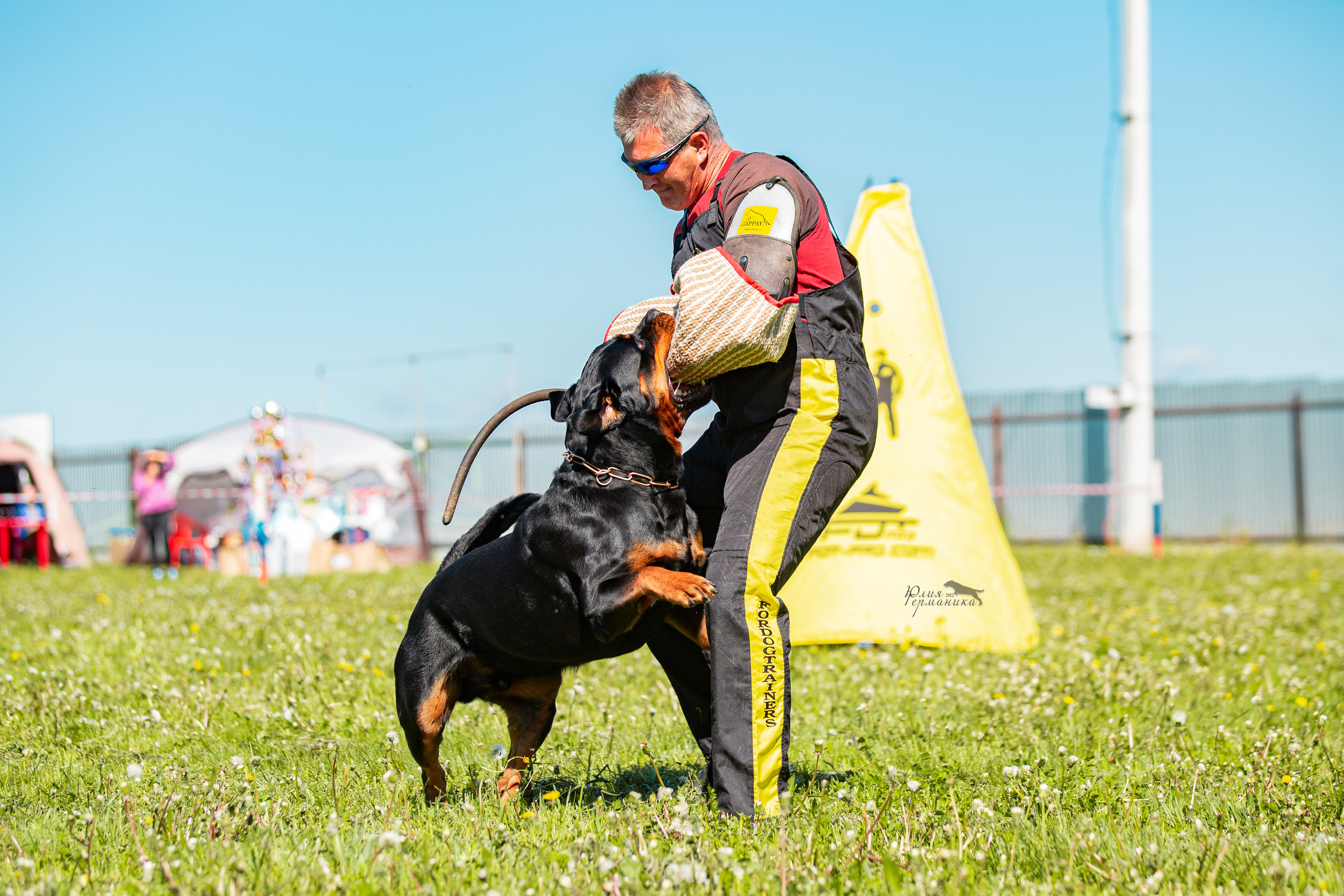 Нижний Новгород моно ротвейлеров 4 июня 2022. Фотограф-анималист Юлия Германика