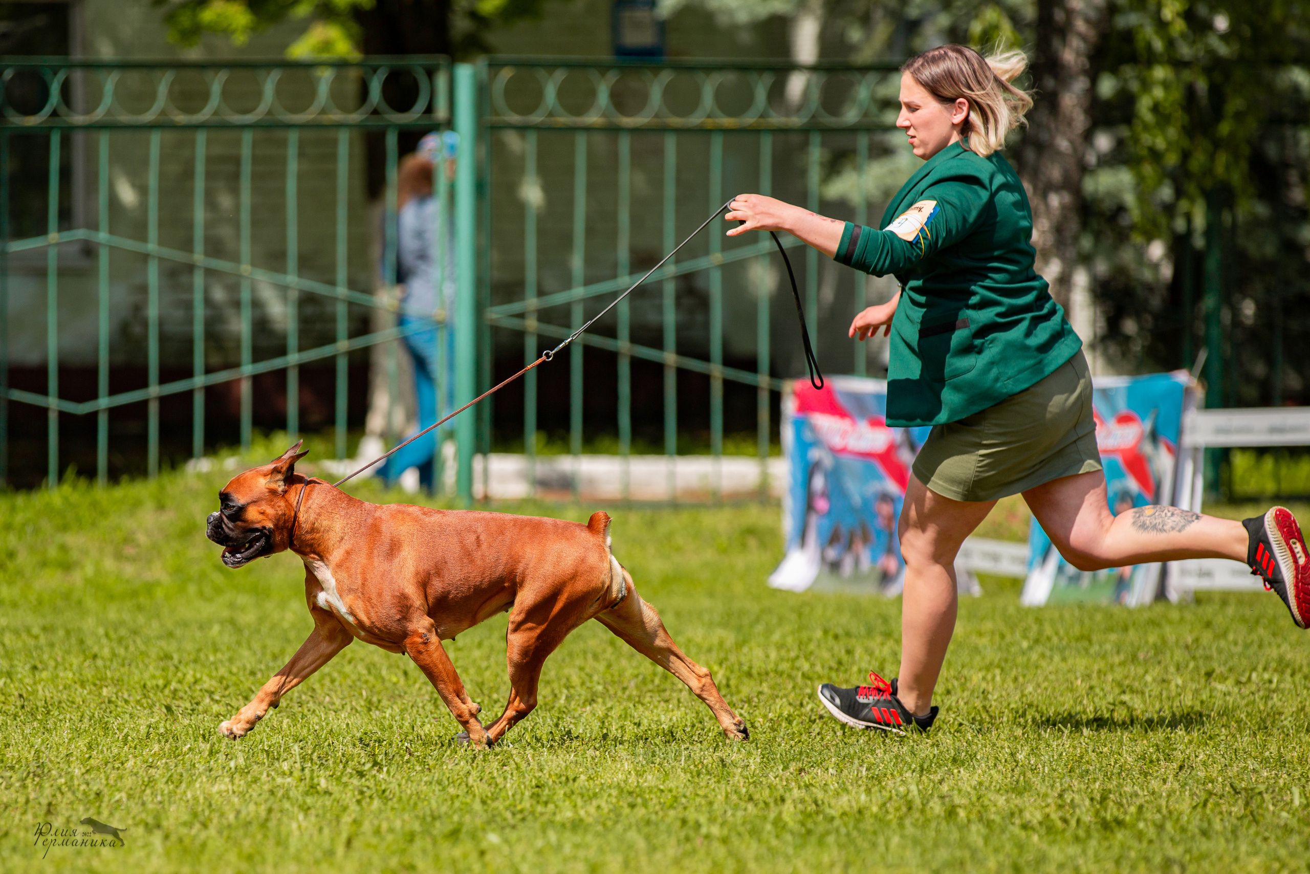 Смоленск 12.06,   Ховрино 13.06,    Питер 18.06 2022. Фотограф-анималист Юлия Германика