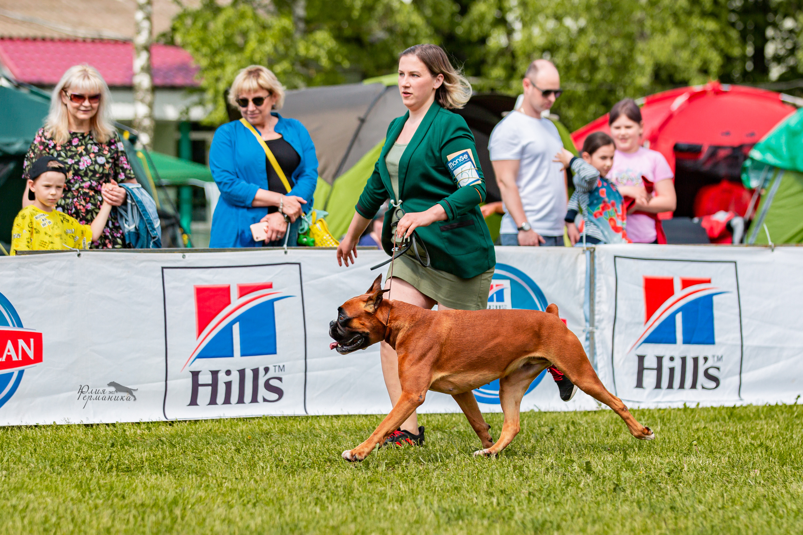 Смоленск 12.06,   Ховрино 13.06,    Питер 18.06 2022. Фотограф-анималист Юлия Германика