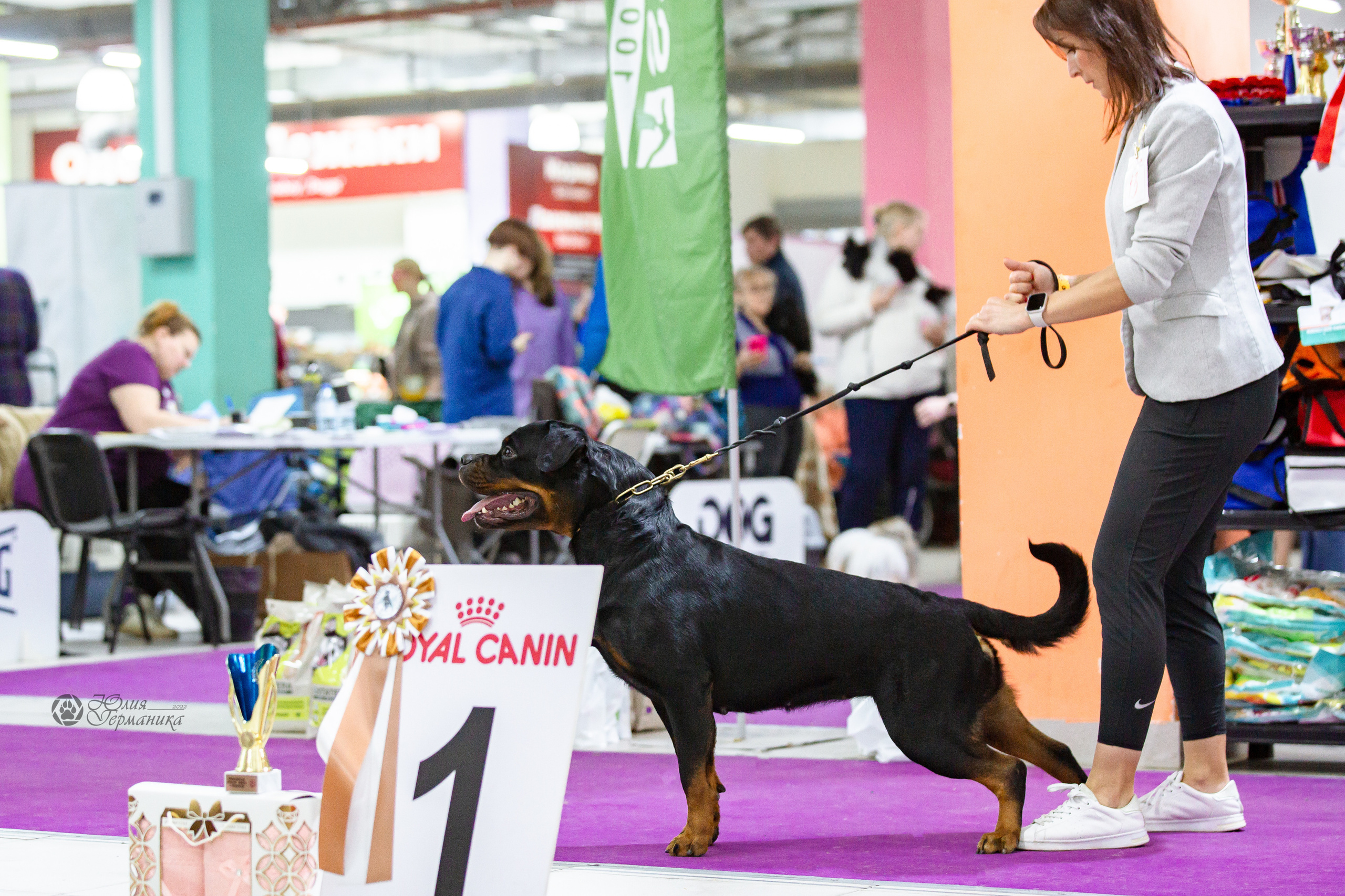 Чайна-Таун 16-17 апреля 2022. Фотограф-анималист Юлия Германика