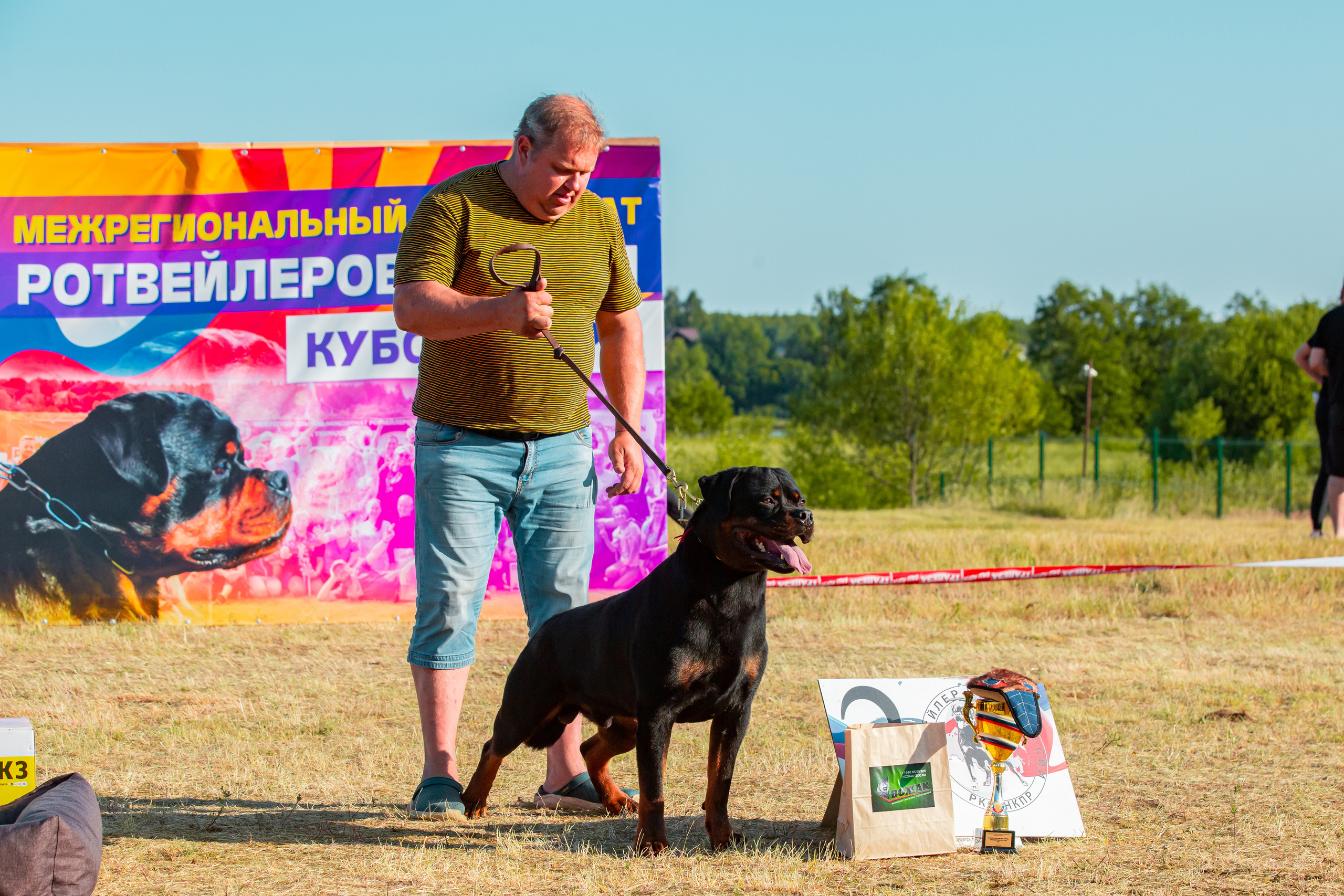 Тверь моно ротвейлеров 2-3.07.2022. Фотограф-анималист Юлия Германика