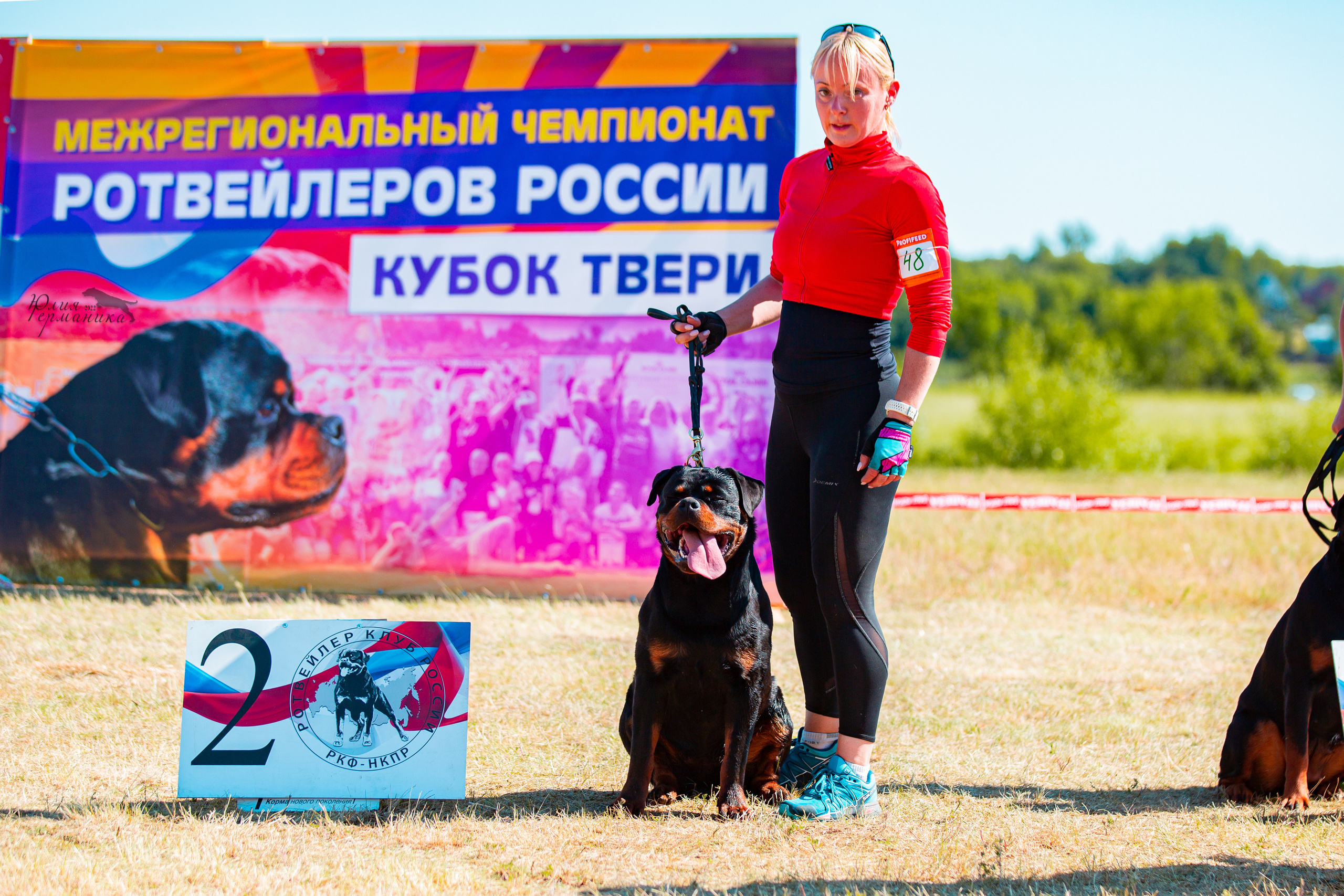 Тверь моно ротвейлеров 2-3.07.2022. Фотограф-анималист Юлия Германика