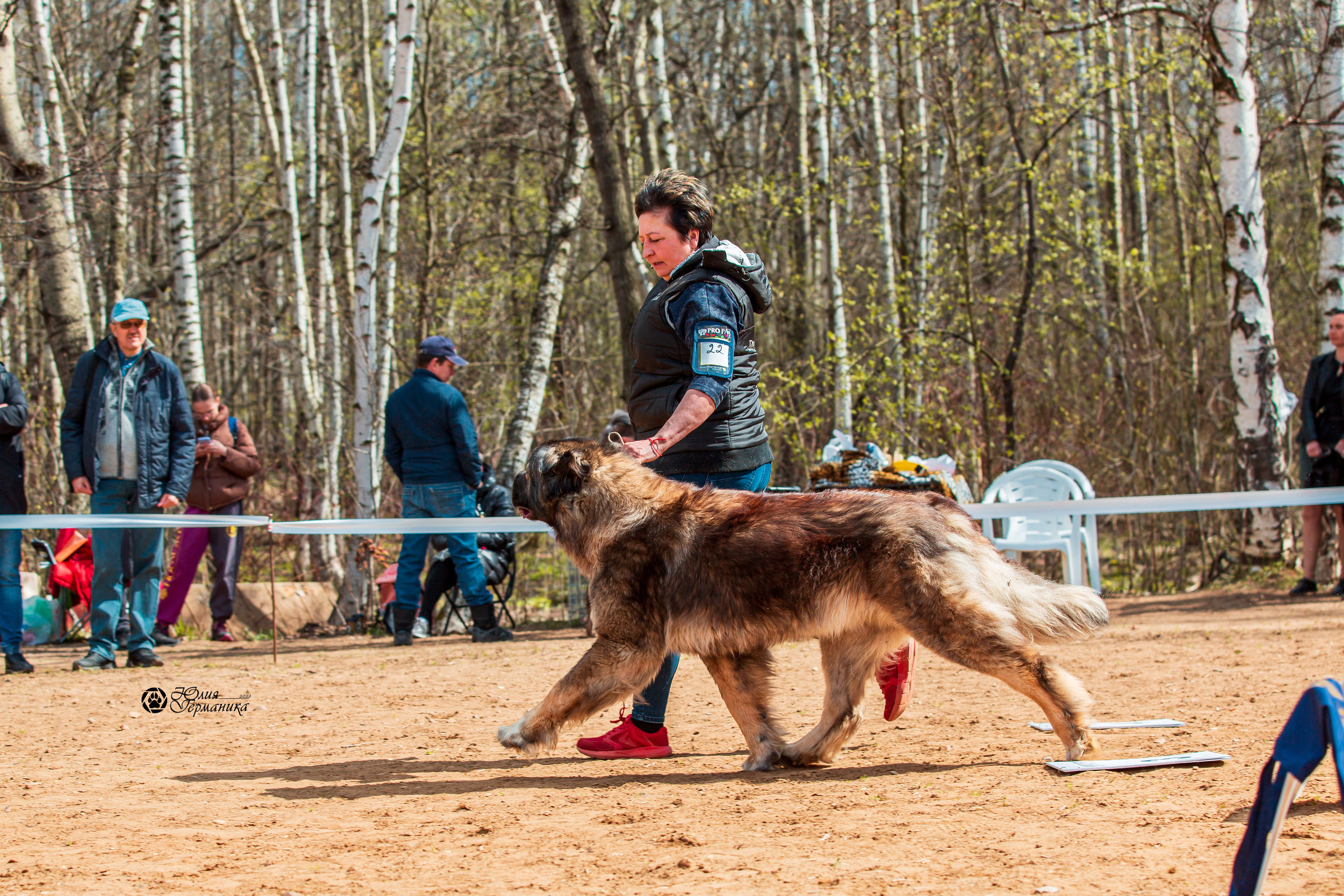 Сокольники 1 мая 2022. Фотограф-анималист Юлия Германика