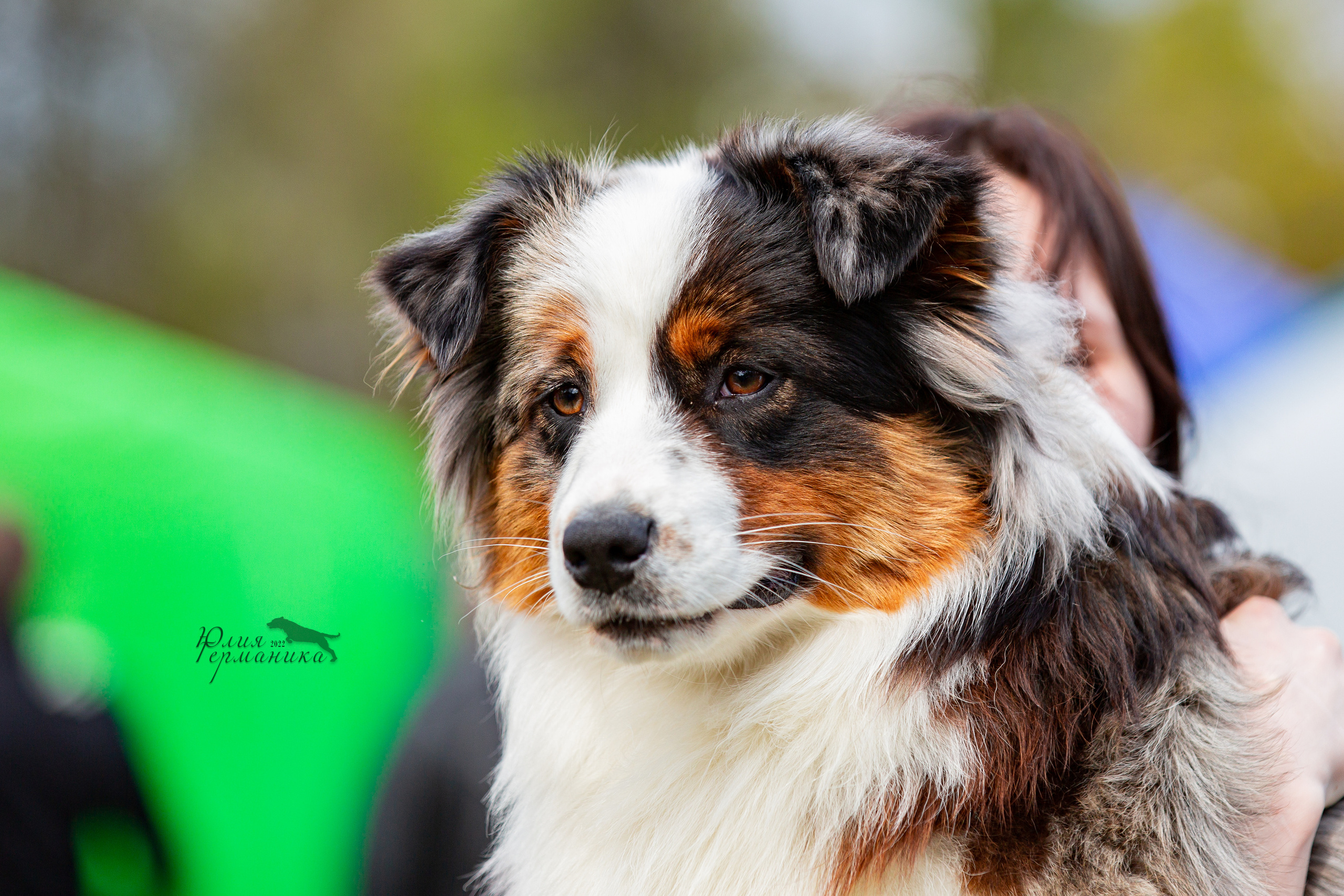 Пушкино 2хЧРКФ 14 мая 2022. Фотограф-анималист Юлия Германика