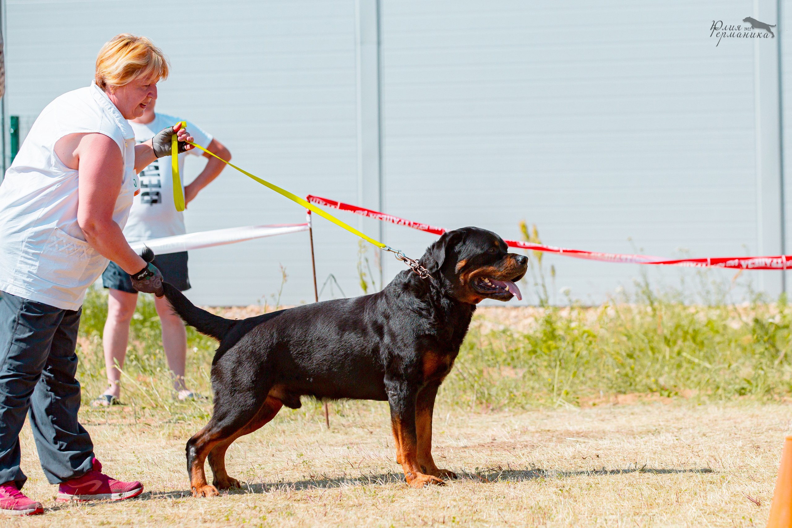 Тверь моно ротвейлеров 2-3.07.2022. Фотограф-анималист Юлия Германика