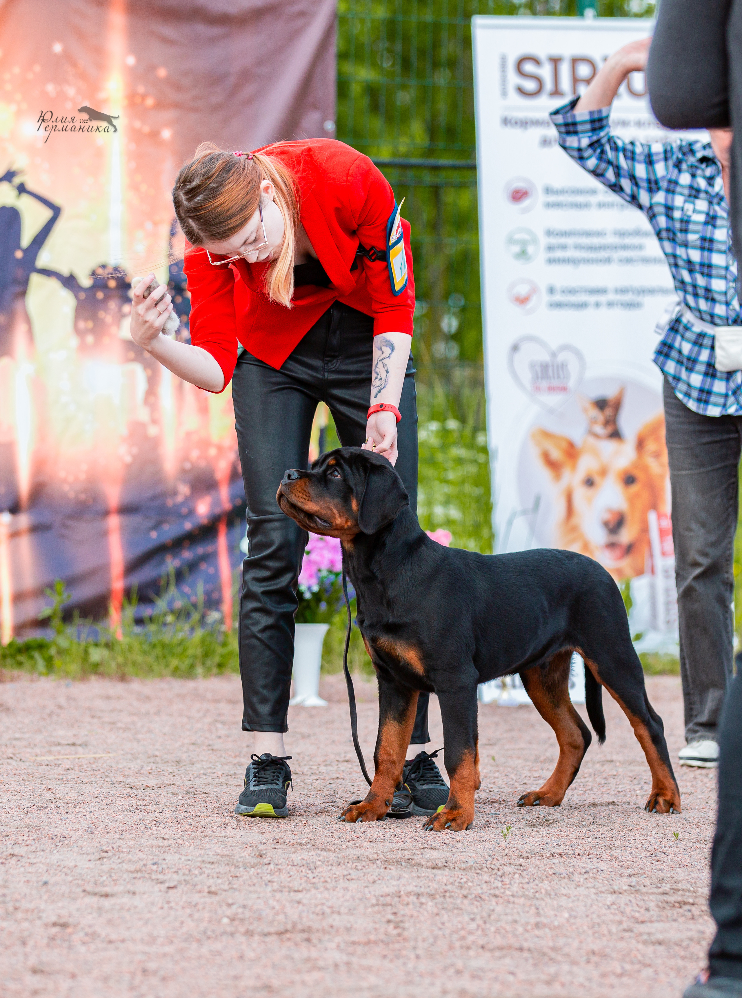 Смоленск 12.06,   Ховрино 13.06,    Питер 18.06 2022. Фотограф-анималист Юлия Германика