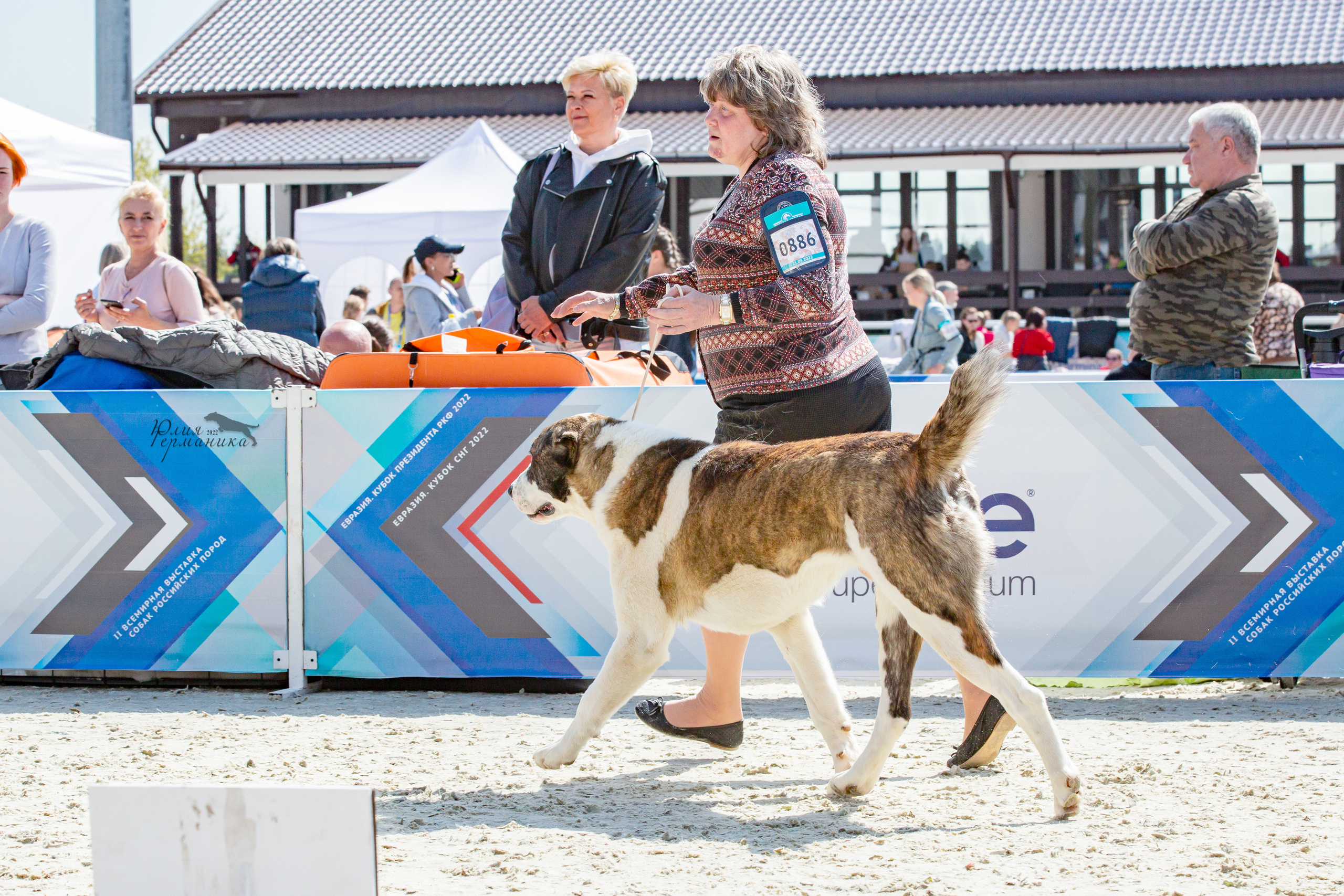 Евразия 21-22 мая 2022. Фотограф-анималист Юлия Германика