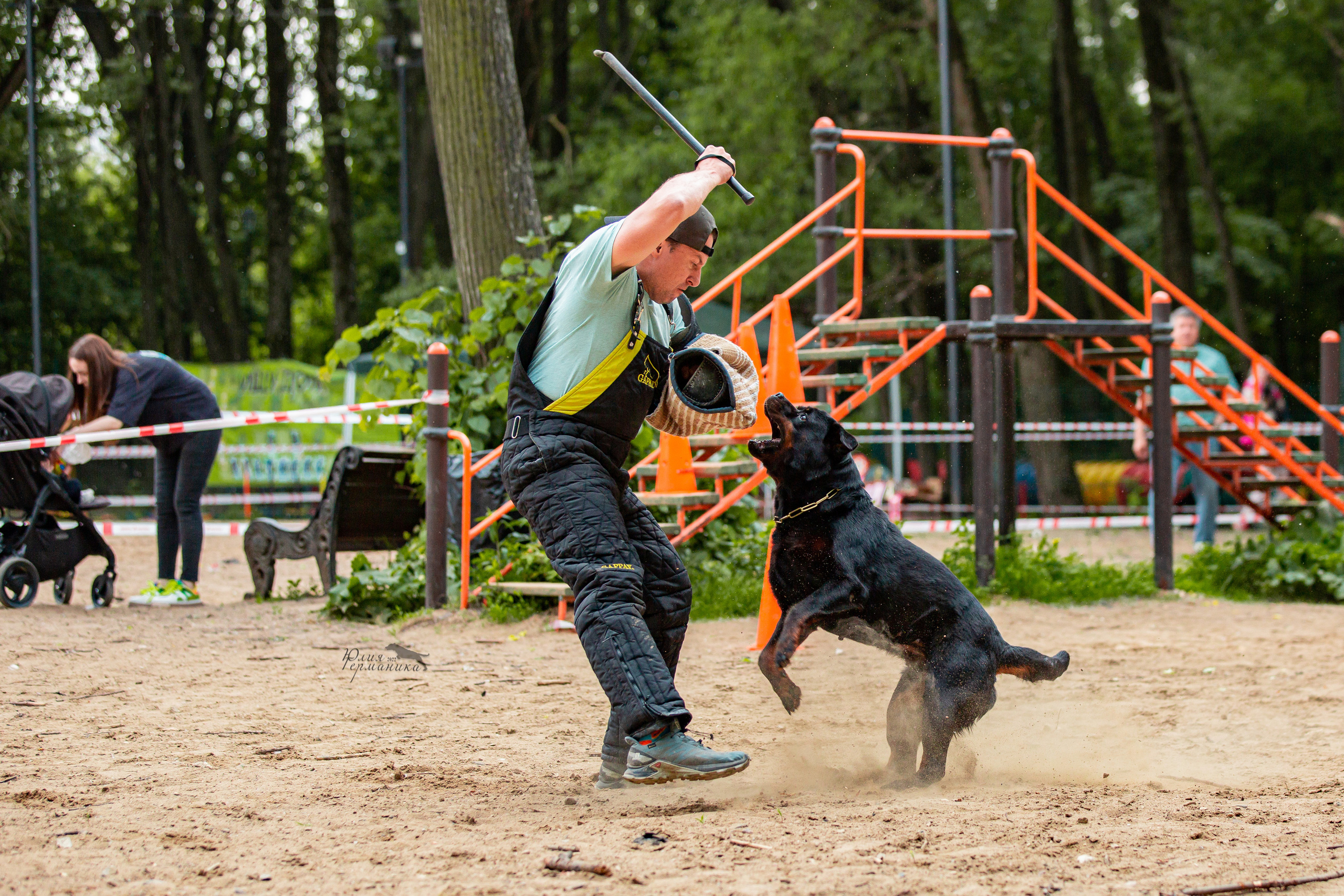 Смоленск 12.06,   Ховрино 13.06,    Питер 18.06 2022. Фотограф-анималист Юлия Германика