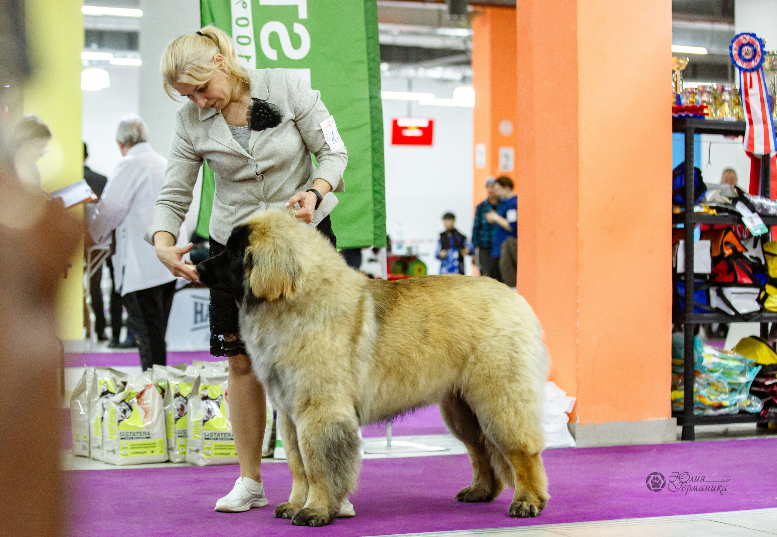 Чайна-Таун 16-17 апреля 2022. Фотограф-анималист Юлия Германика