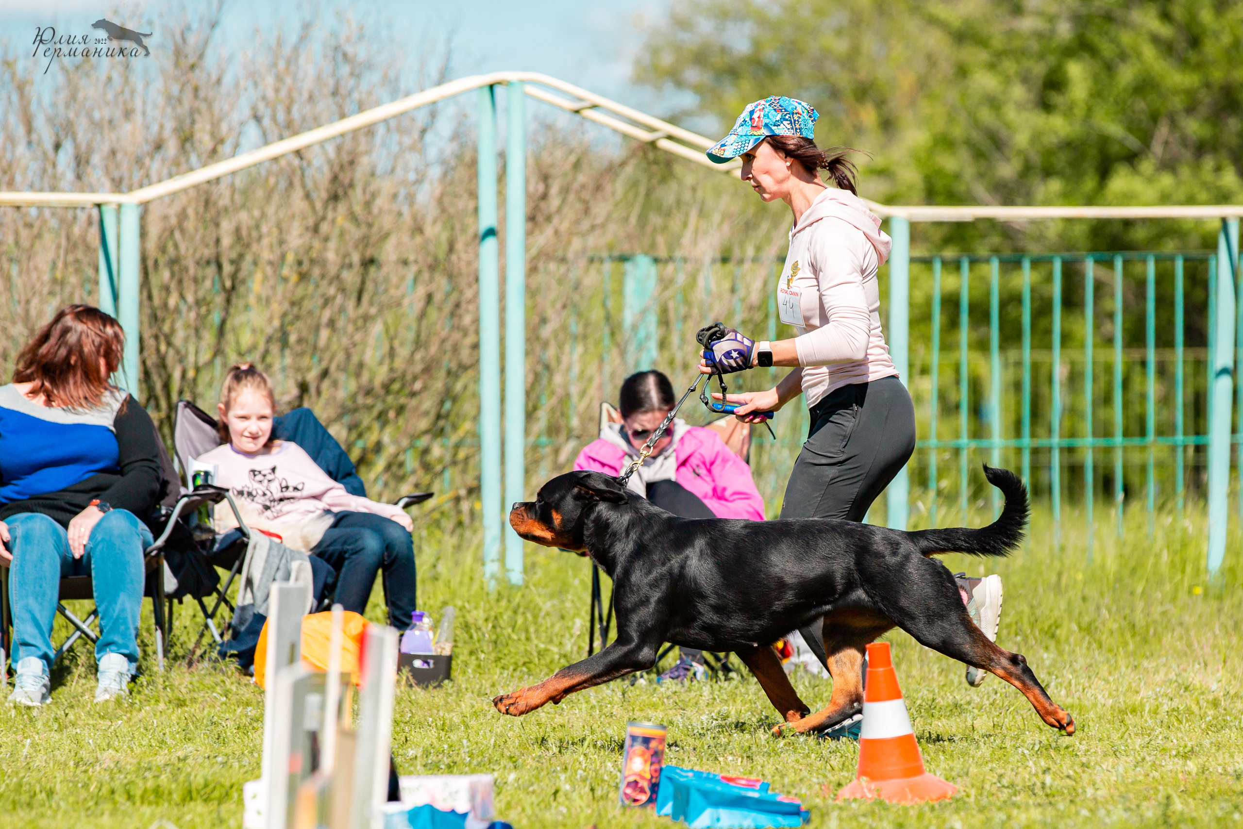 Воронеж моно ротвейлеров 28-29 мая 2022. Фотограф-анималист Юлия Германика