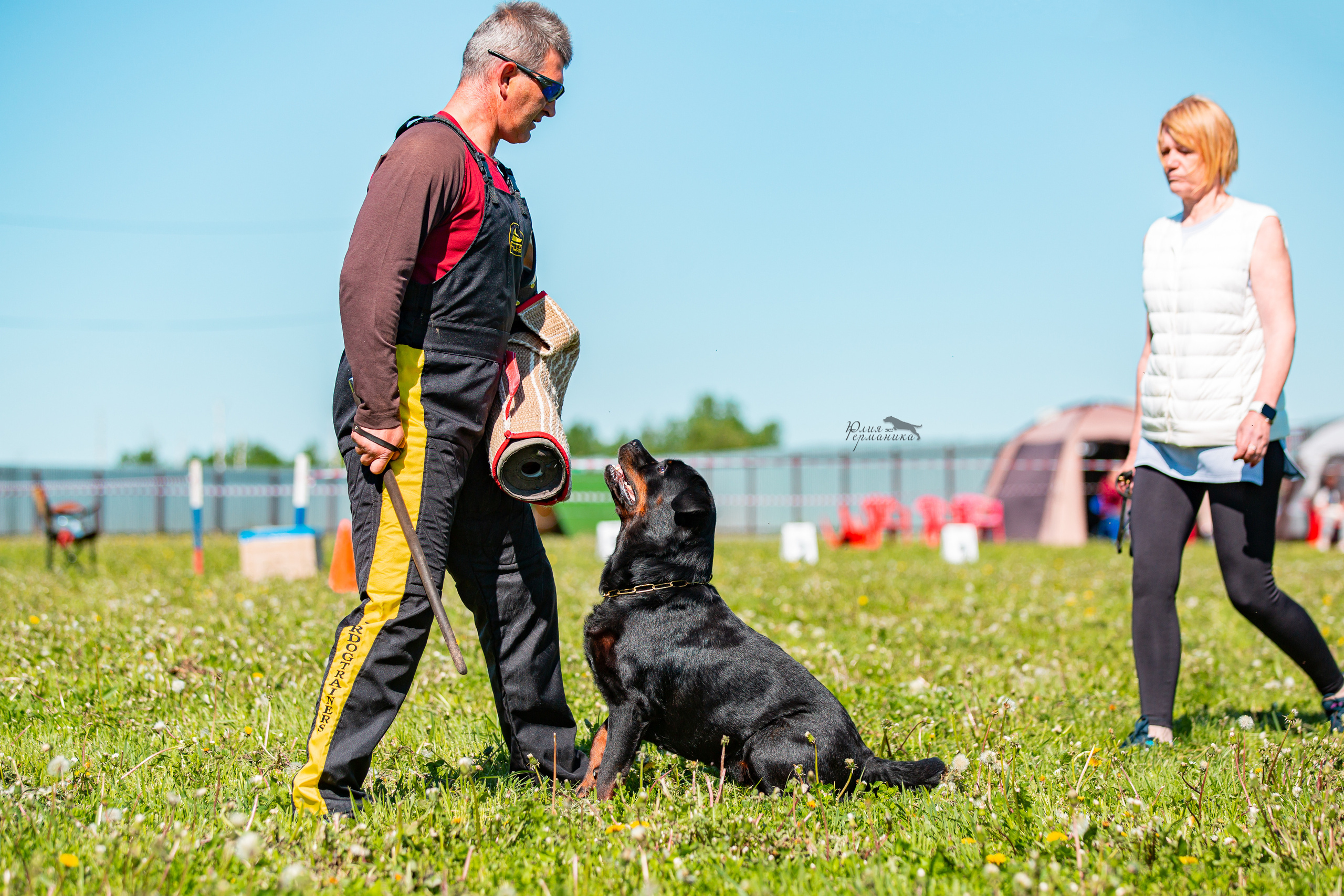 Нижний Новгород моно ротвейлеров 4 июня 2022. Фотограф-анималист Юлия Германика