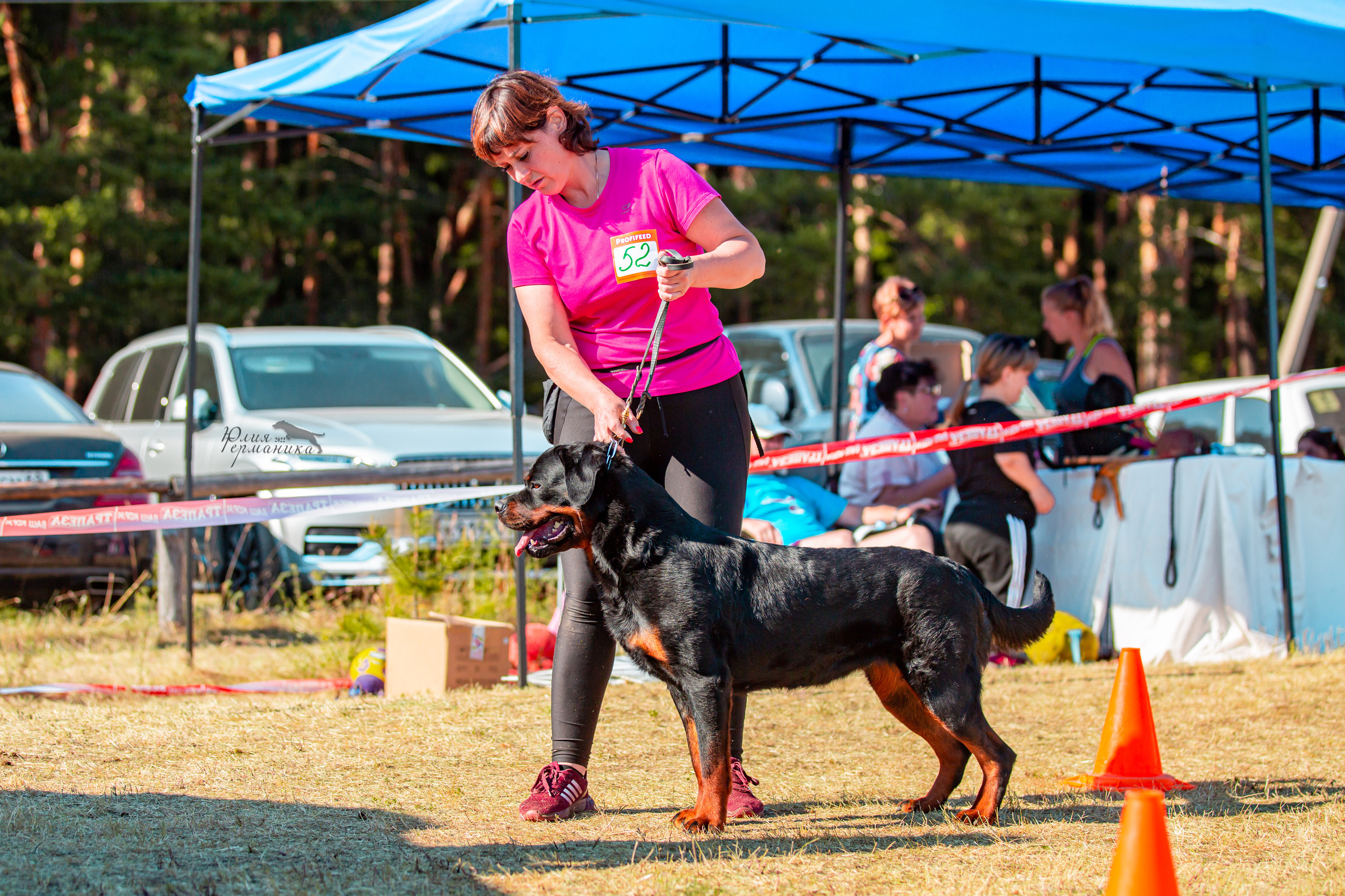 Тверь моно ротвейлеров 2-3.07.2022. Фотограф-анималист Юлия Германика