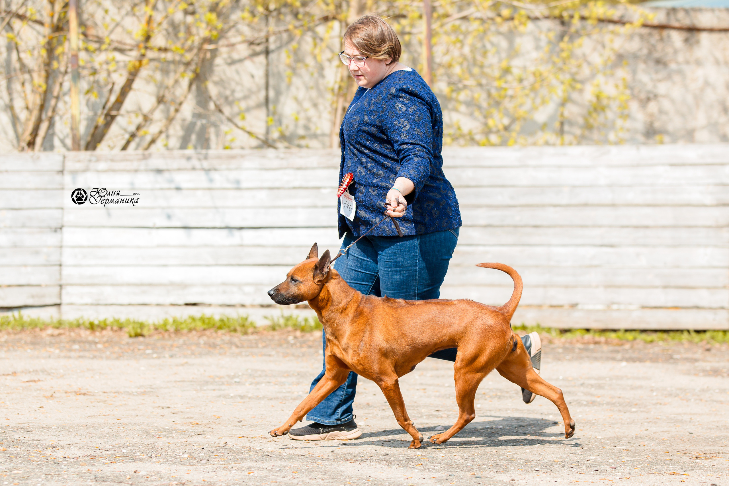 Александров 2хСАС 8 мая 2022. Фотограф-анималист Юлия Германика