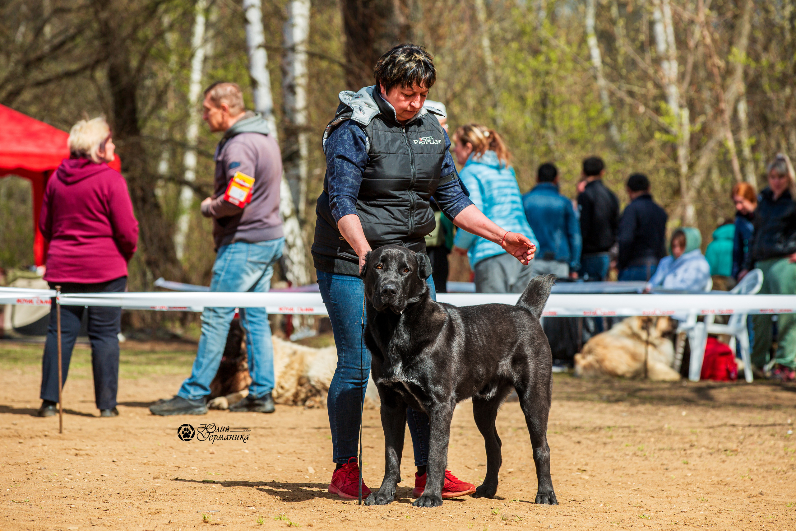 Сокольники 1 мая 2022. Фотограф-анималист Юлия Германика