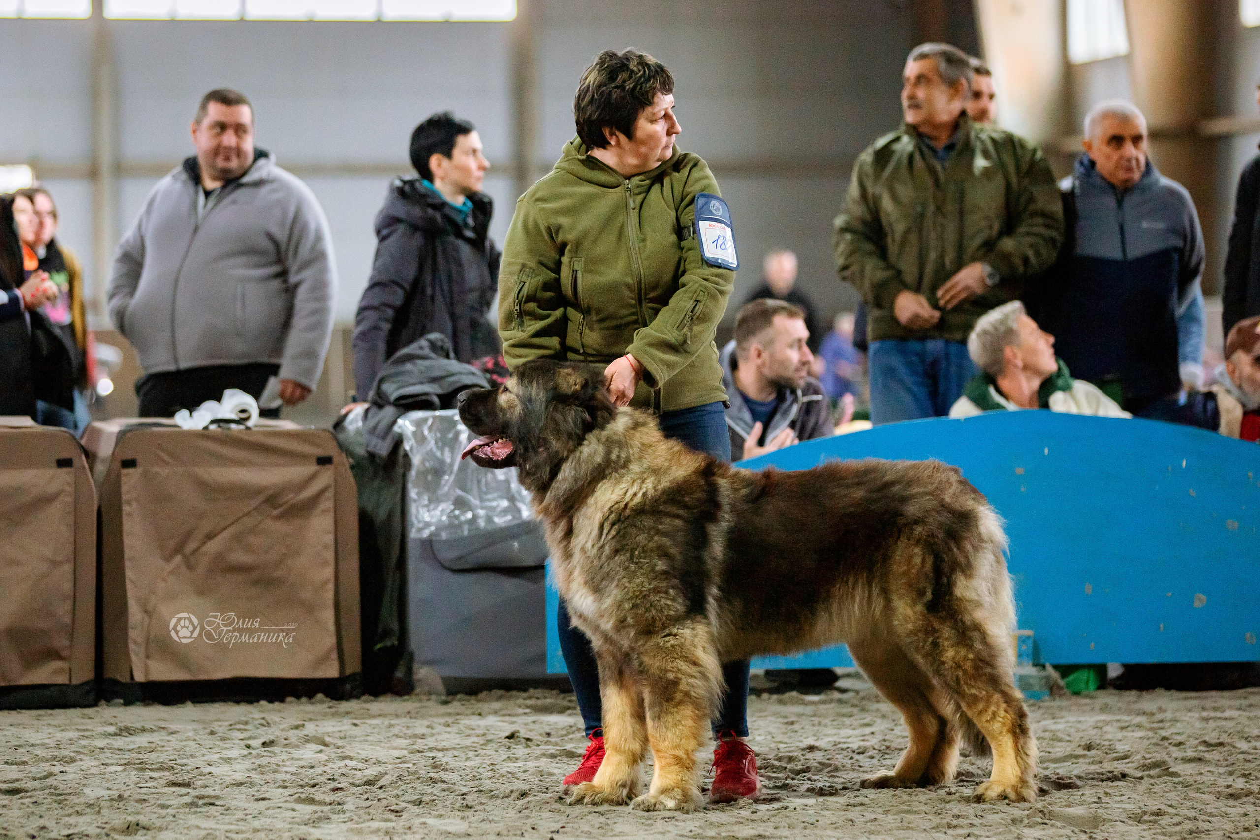 Националка САО+КЧК 24 апреля 2022. Фотограф-анималист Юлия Германика