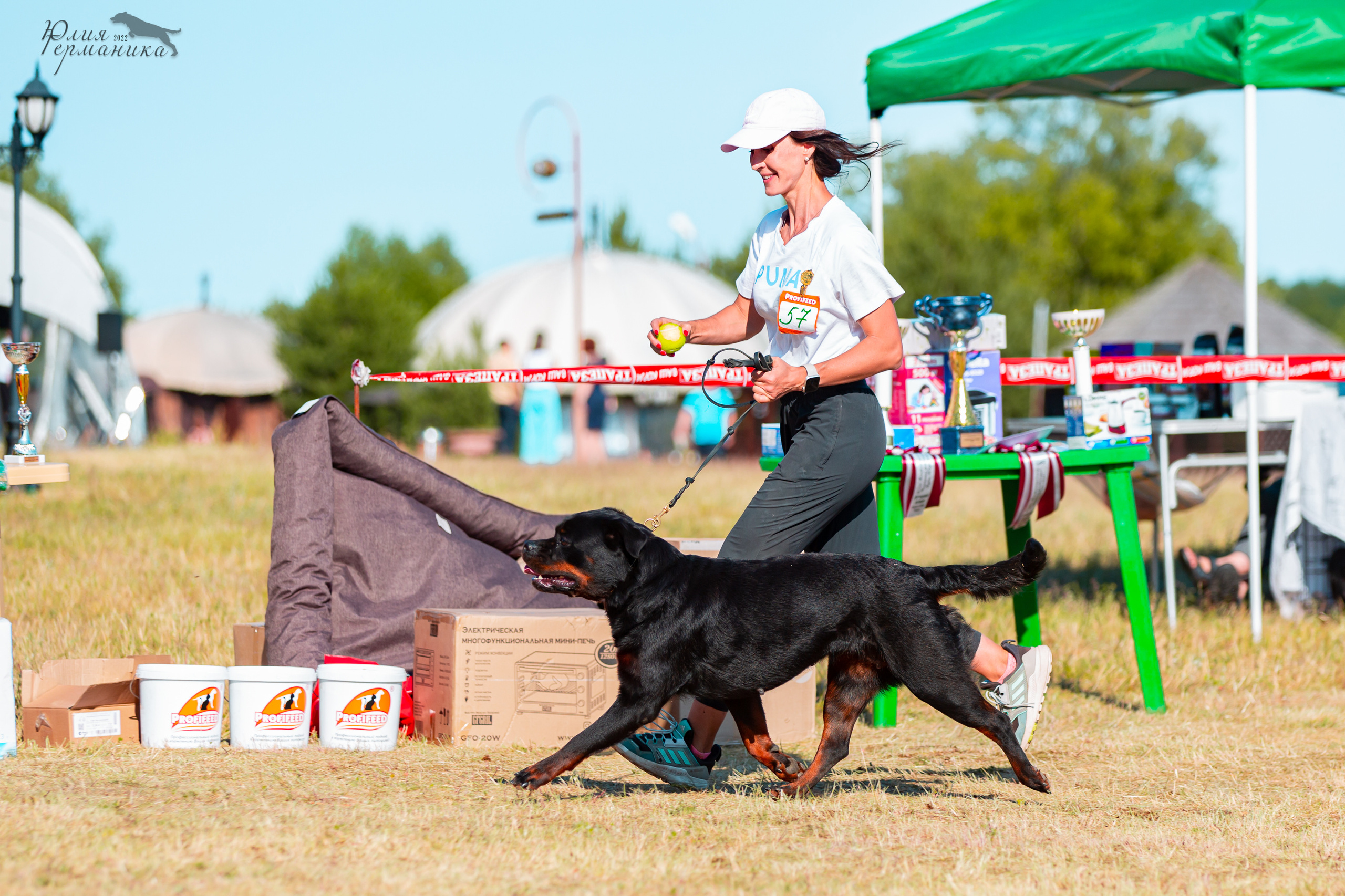 Тверь моно ротвейлеров 2-3.07.2022. Фотограф-анималист Юлия Германика