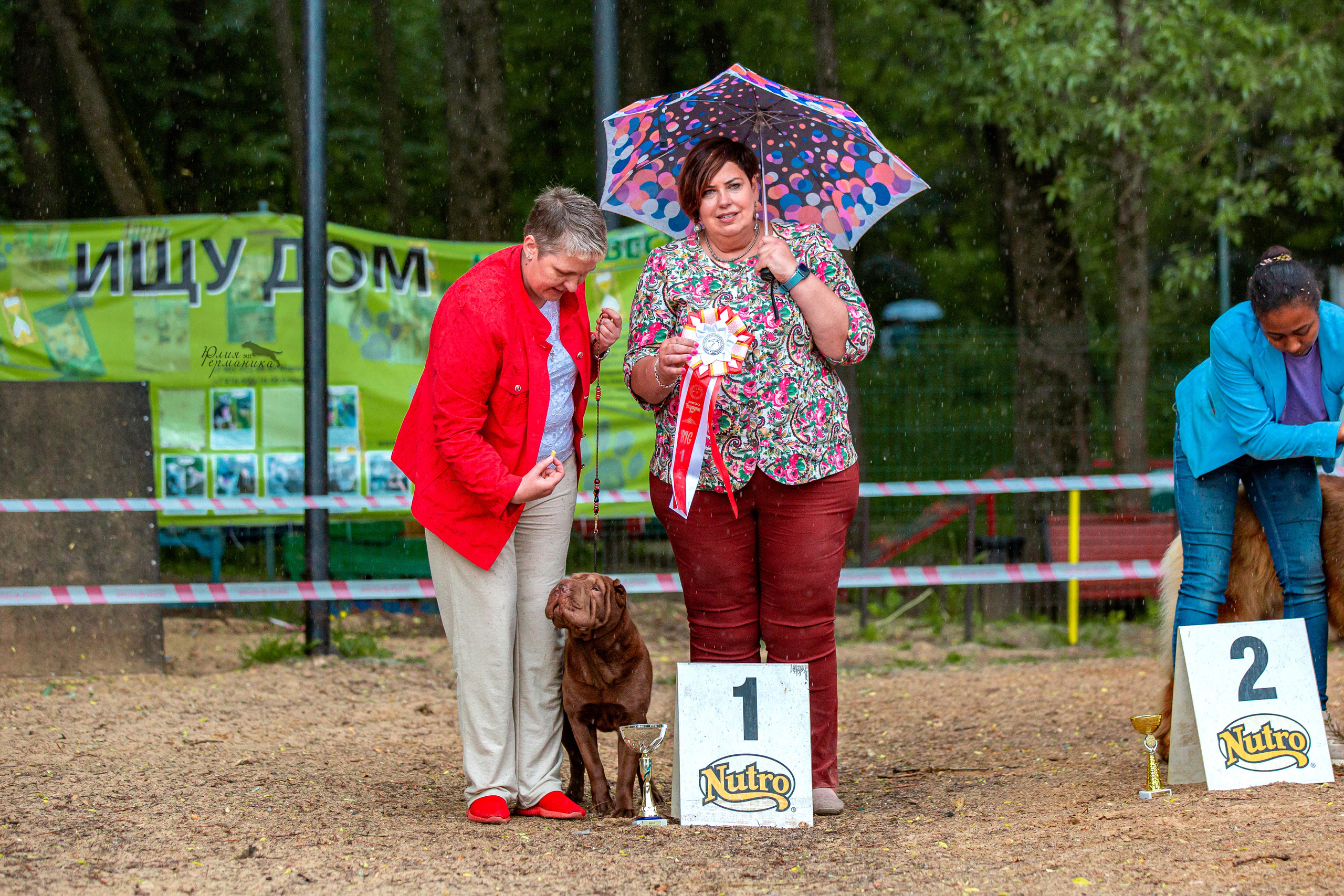 Смоленск 12.06,   Ховрино 13.06,    Питер 18.06 2022. Фотограф-анималист Юлия Германика