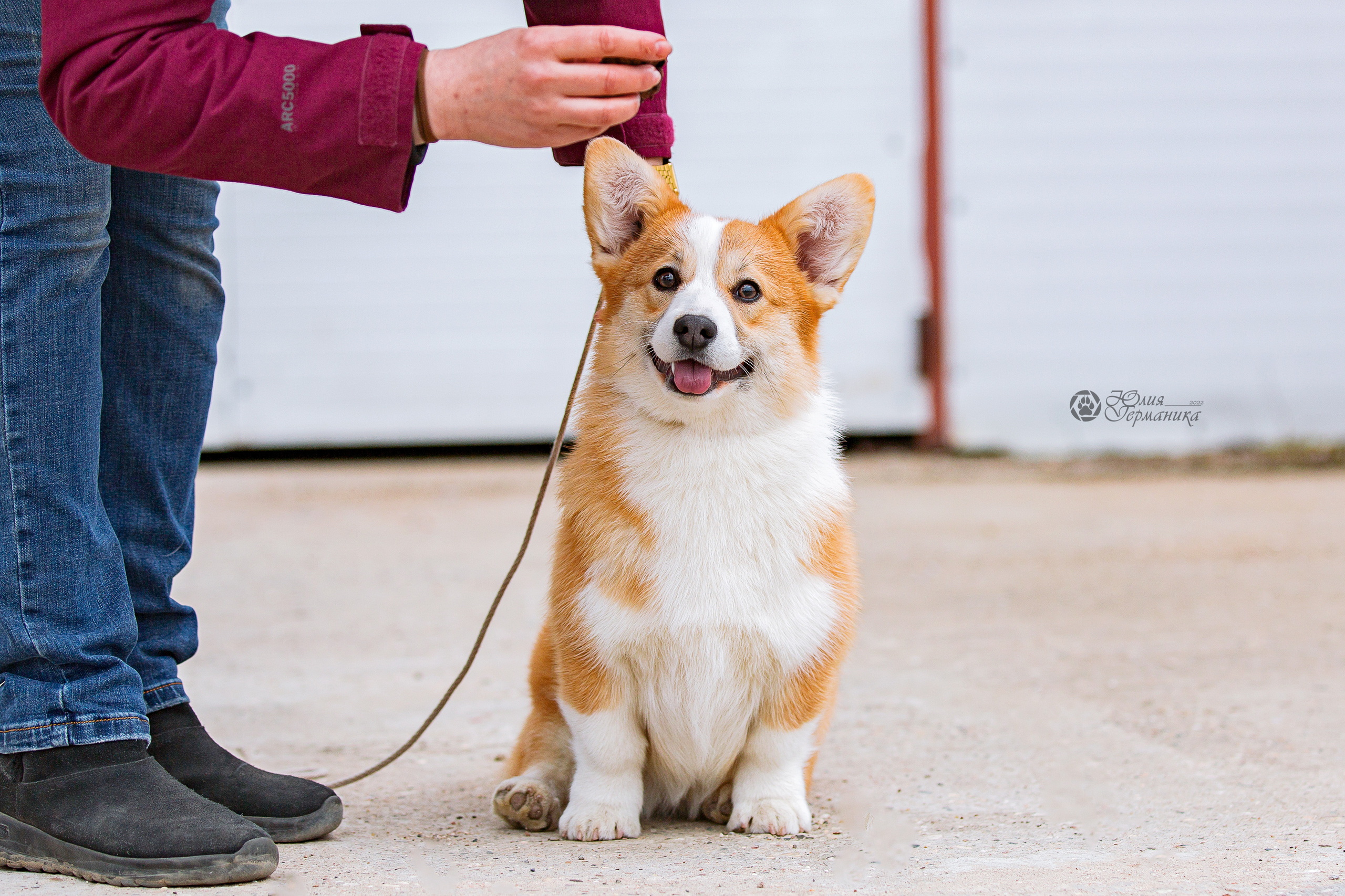 Сергиев Посад 23.04.2022. Фотограф-анималист Юлия Германика