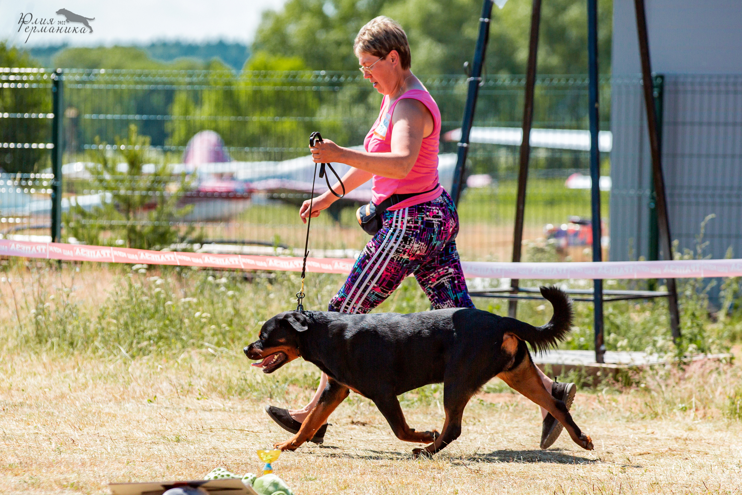 Тверь моно ротвейлеров 2-3.07.2022. Фотограф-анималист Юлия Германика