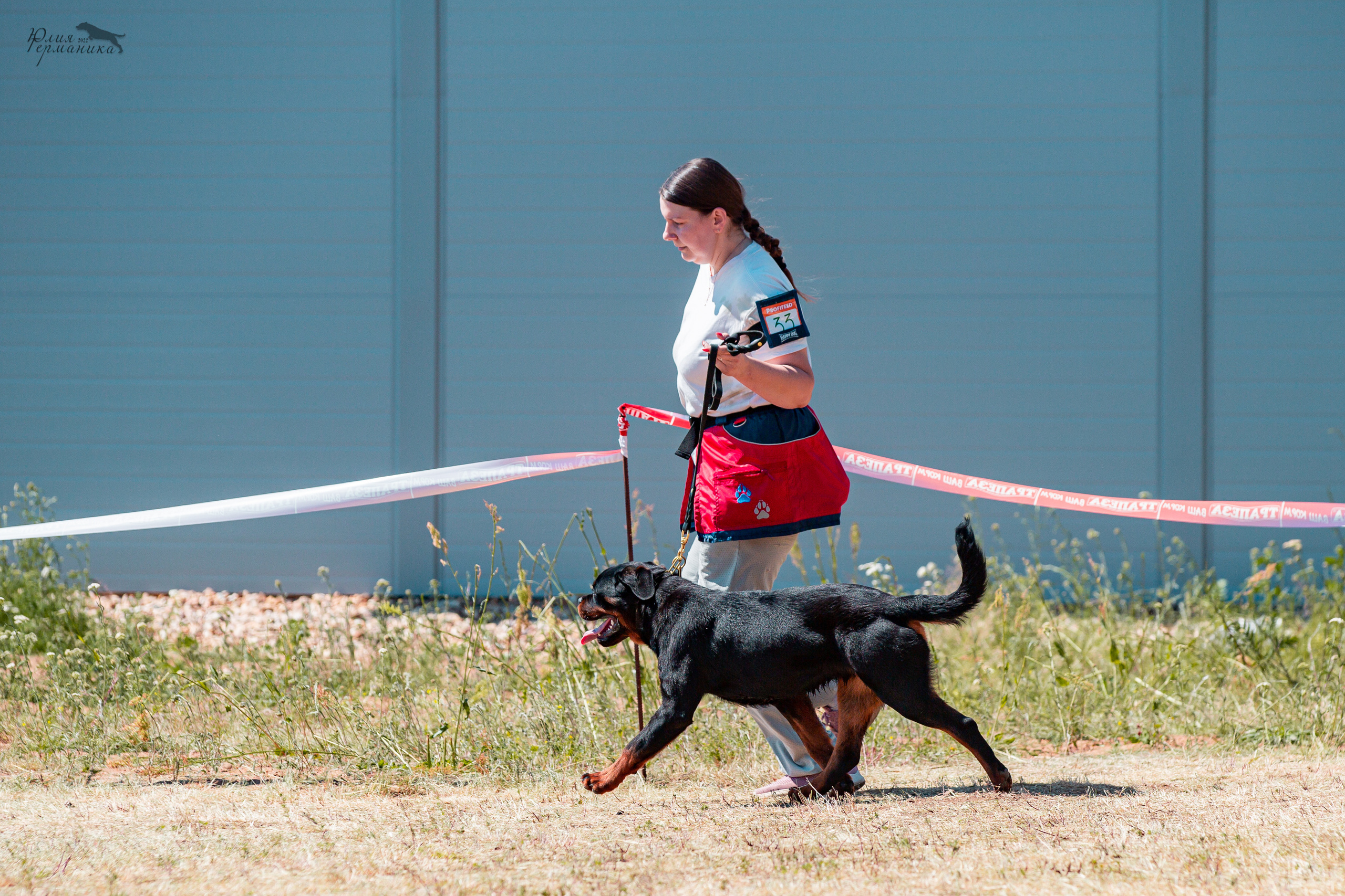 Тверь моно ротвейлеров 2-3.07.2022. Фотограф-анималист Юлия Германика