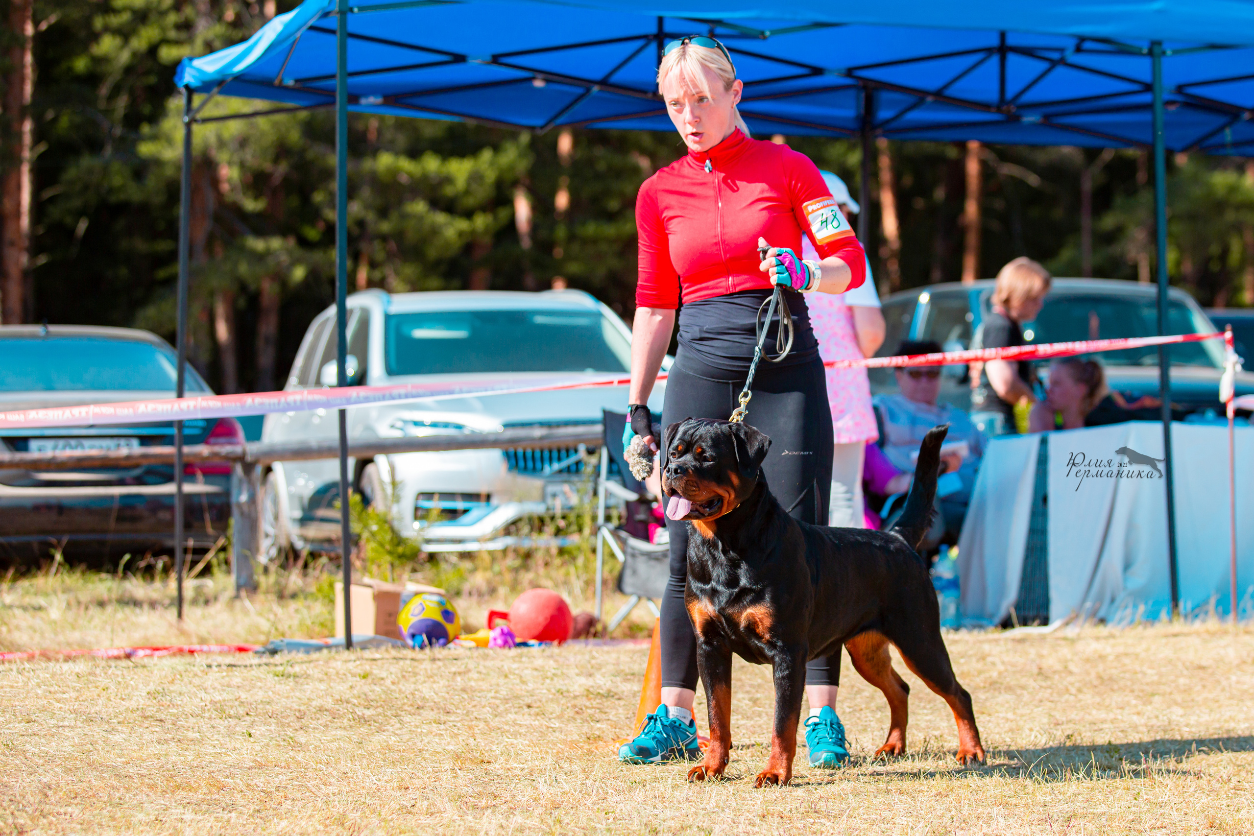 Тверь моно ротвейлеров 2-3.07.2022. Фотограф-анималист Юлия Германика