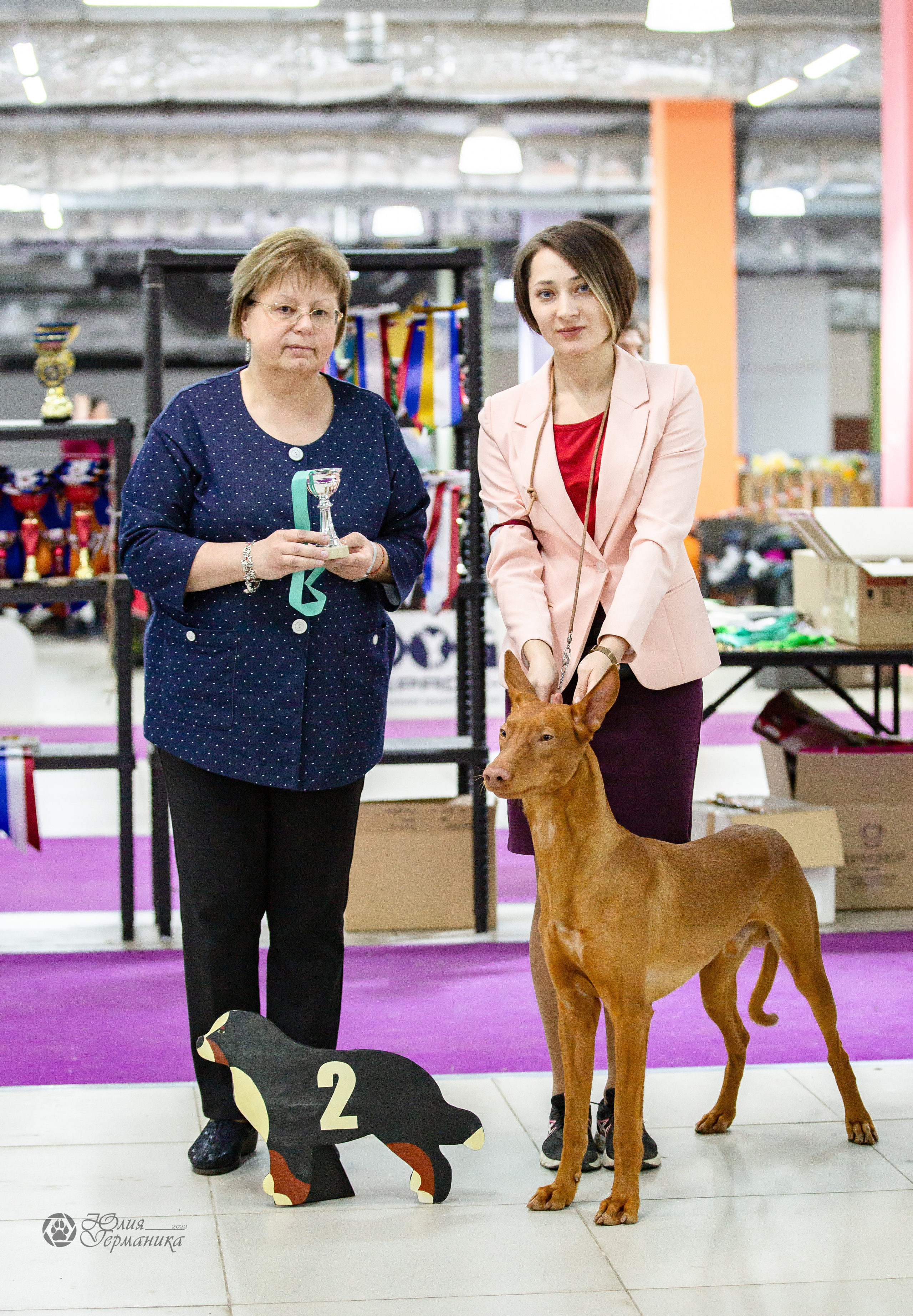 Чайна-Таун 16-17 апреля 2022. Фотограф-анималист Юлия Германика