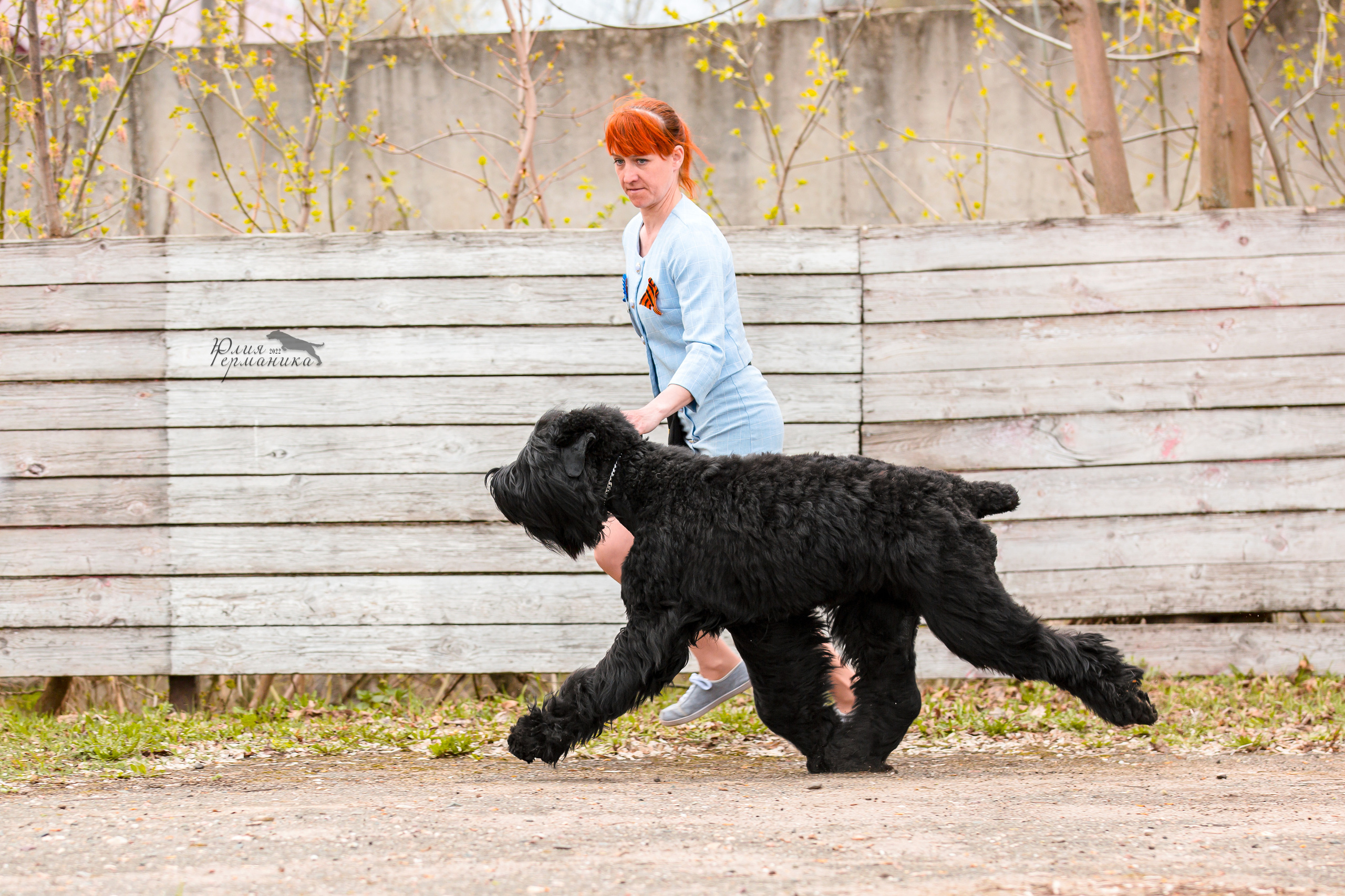 Александров 2хСАС 8 мая 2022. Фотограф-анималист Юлия Германика