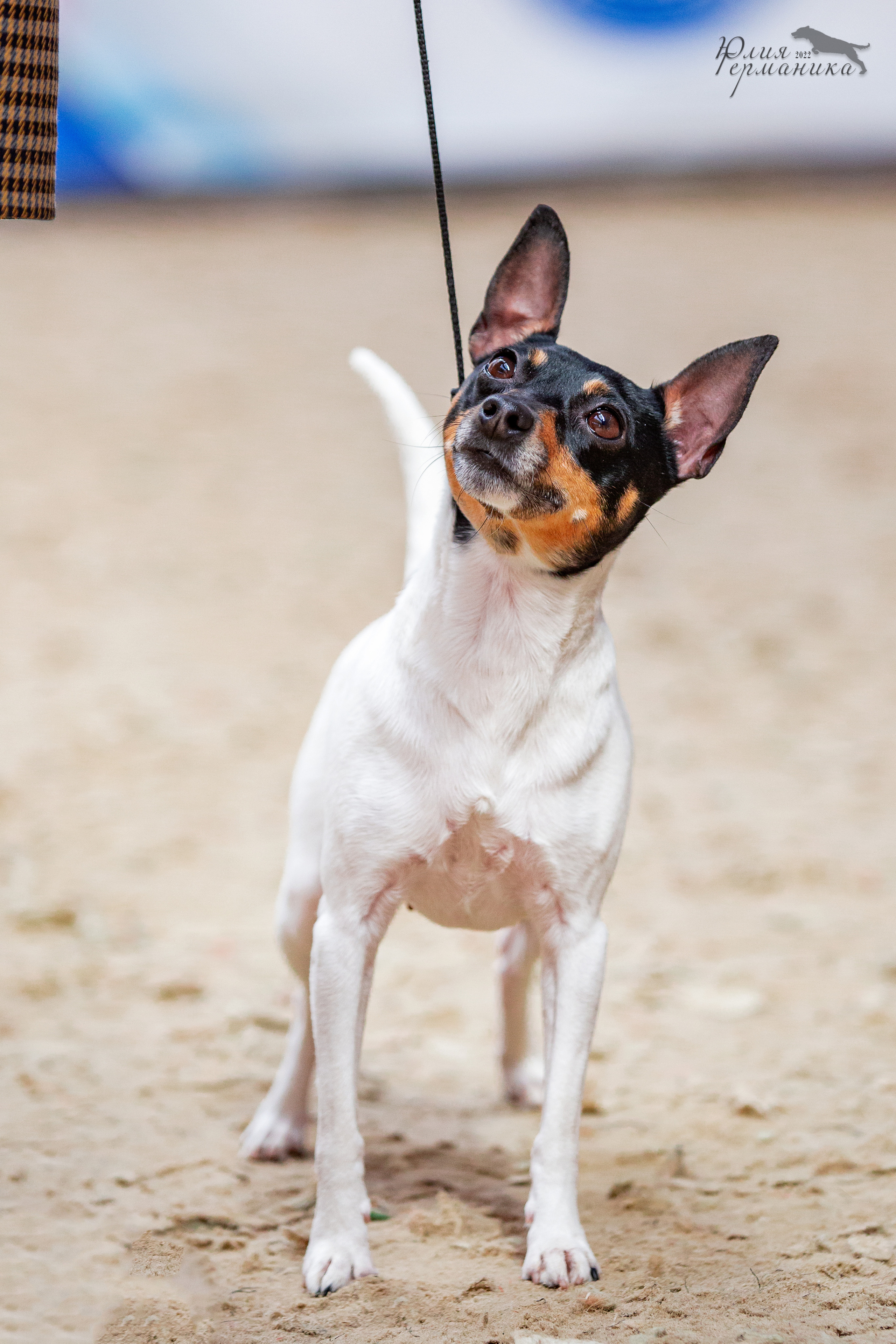 Евразия 21-22 мая 2022. Фотограф-анималист Юлия Германика