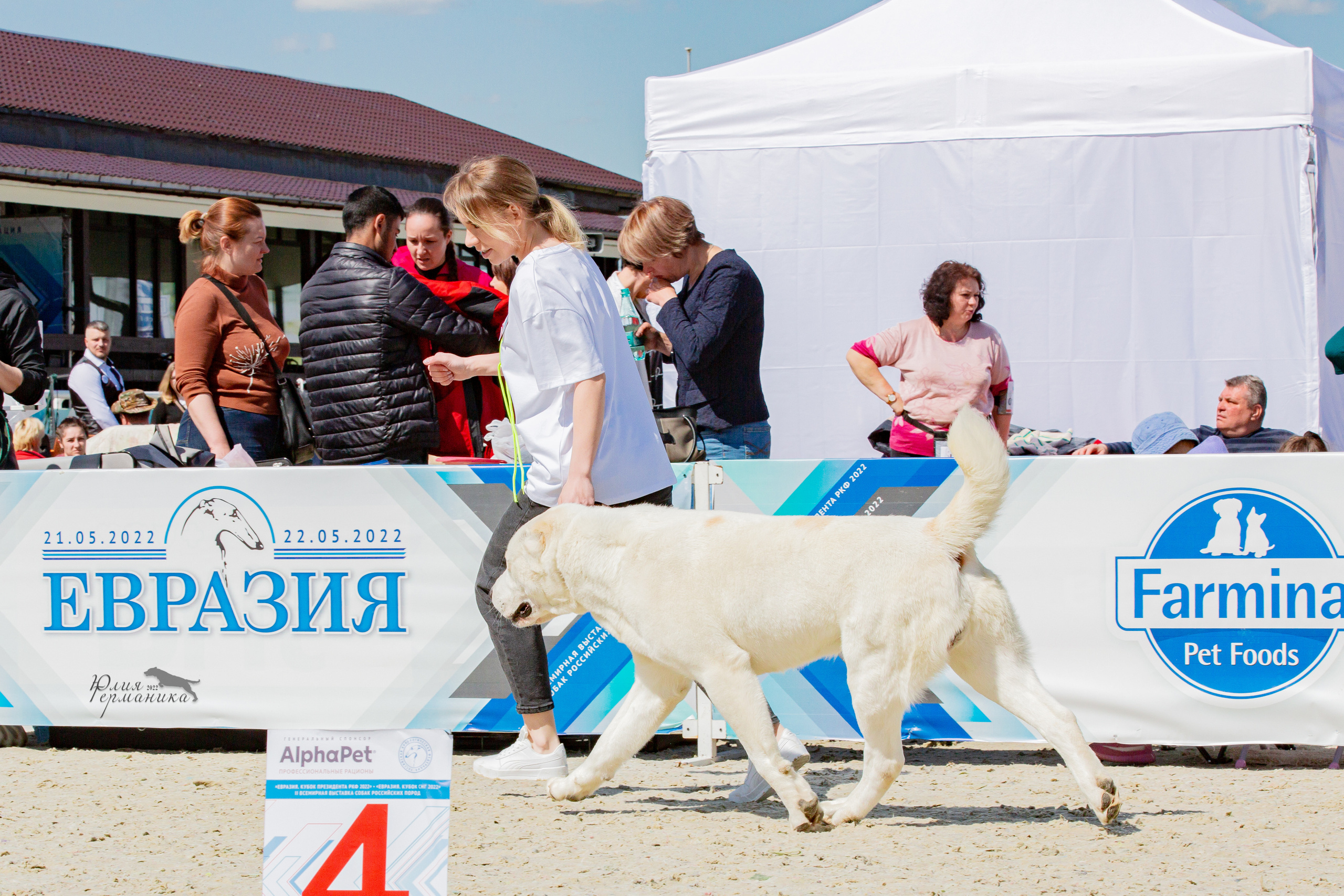Евразия 21-22 мая 2022. Фотограф-анималист Юлия Германика