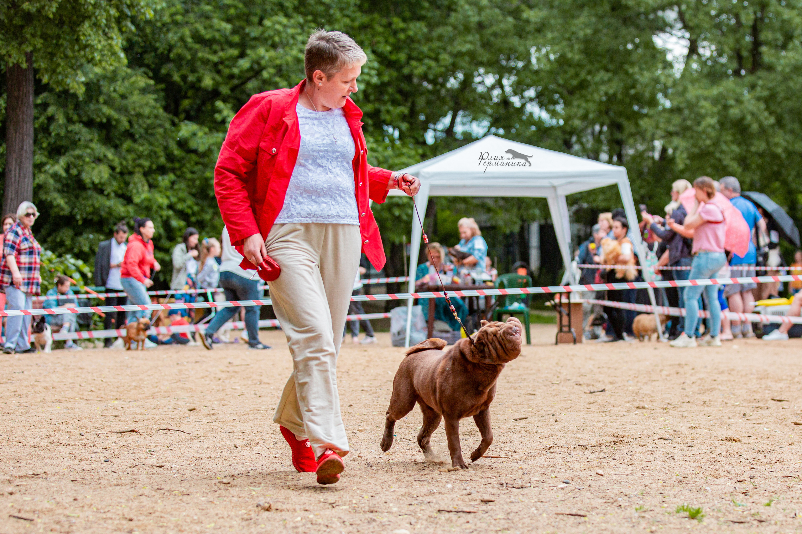 Смоленск 12.06,   Ховрино 13.06,    Питер 18.06 2022. Фотограф-анималист Юлия Германика