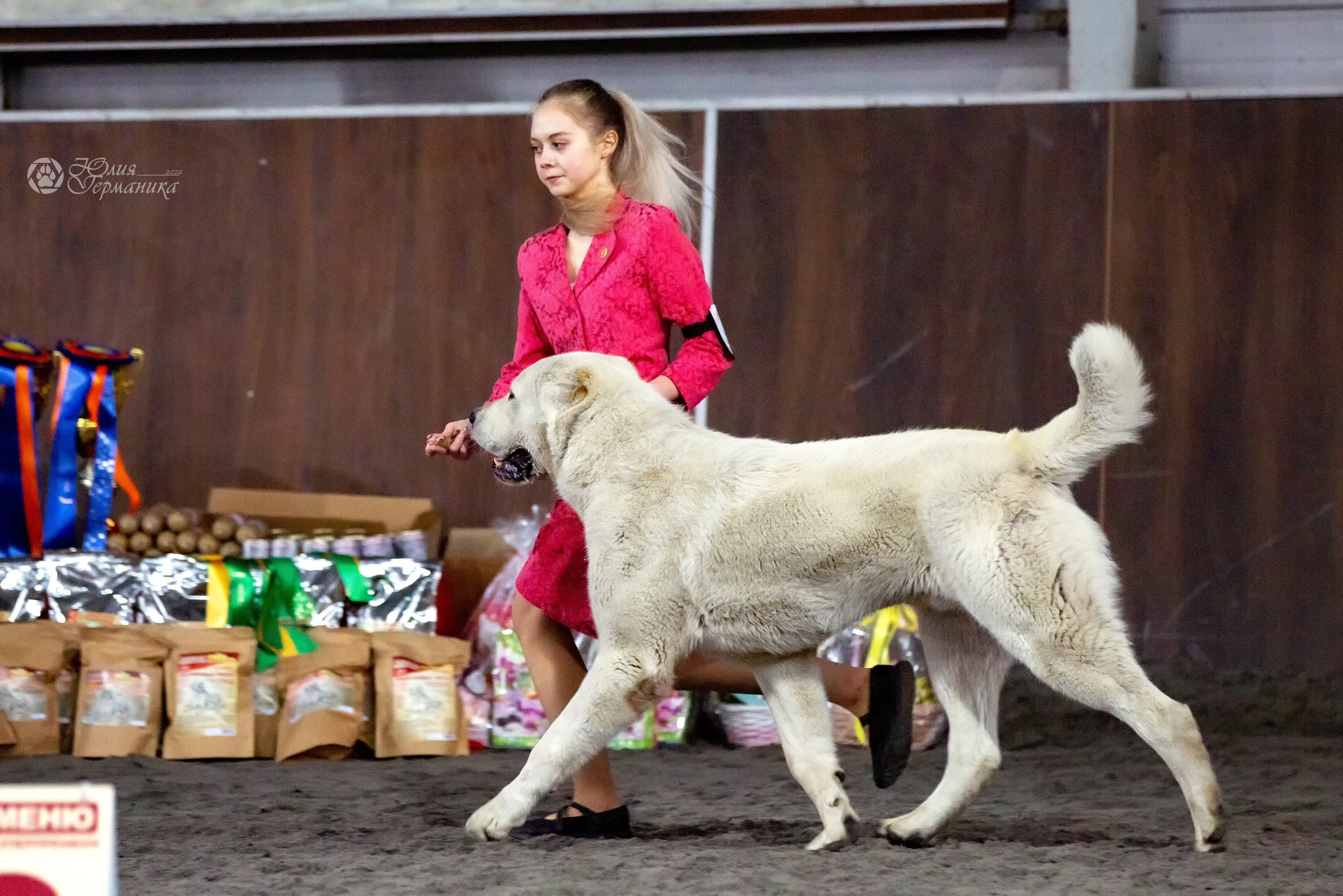 Националка САО+КЧК 24 апреля 2022. Фотограф-анималист Юлия Германика