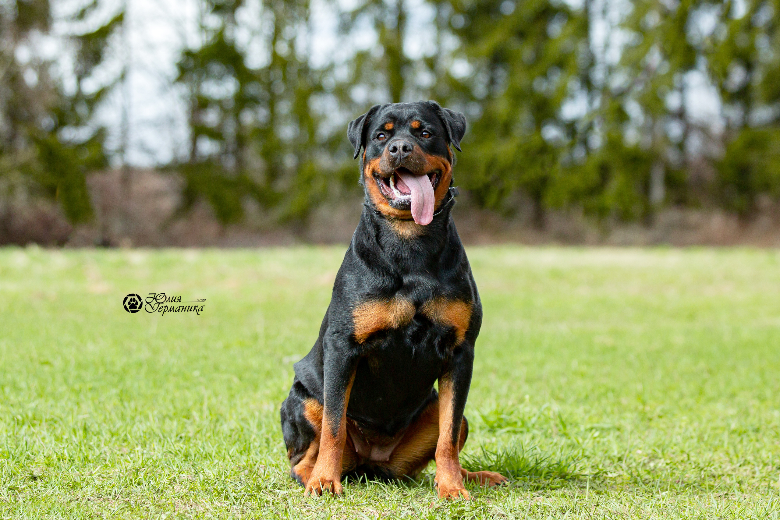 Свободная съемка. Фотограф-анималист Юлия Германика